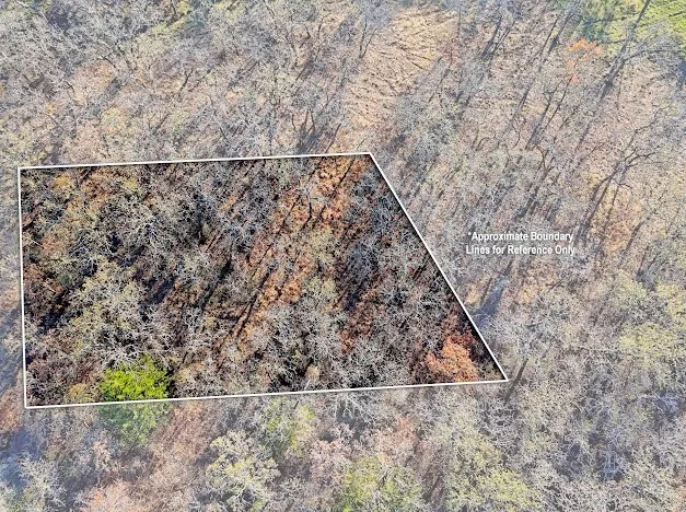 Unimproved Land For Sale in Montague County , 103 Diamond Oaks Drive, Nocona, Texas 76255, 0, 0, Garage spaces, 0 Sqft, built in 0, mls#21411291, Real Estate Agent in Nocona, Homes For Sale in Montague county, Homes For Sale in Nocona, Realtor in Nocona Texas, Real Estate Brokerage Independent Realty Texas, Luminita Cordes Realtor