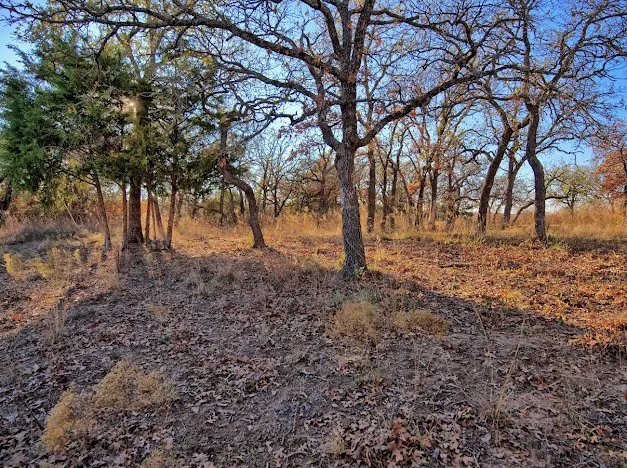 Unimproved Land For Sale in Montague County , 103 Diamond Oaks Drive, Nocona, Texas 76255, 0, 0, Garage spaces, 0 Sqft, built in 0, mls#21411291, Real Estate Agent in Nocona, Homes For Sale in Montague county, Homes For Sale in Nocona, Realtor in Nocona Texas, Real Estate Brokerage Independent Realty Texas, Luminita Cordes Realtor