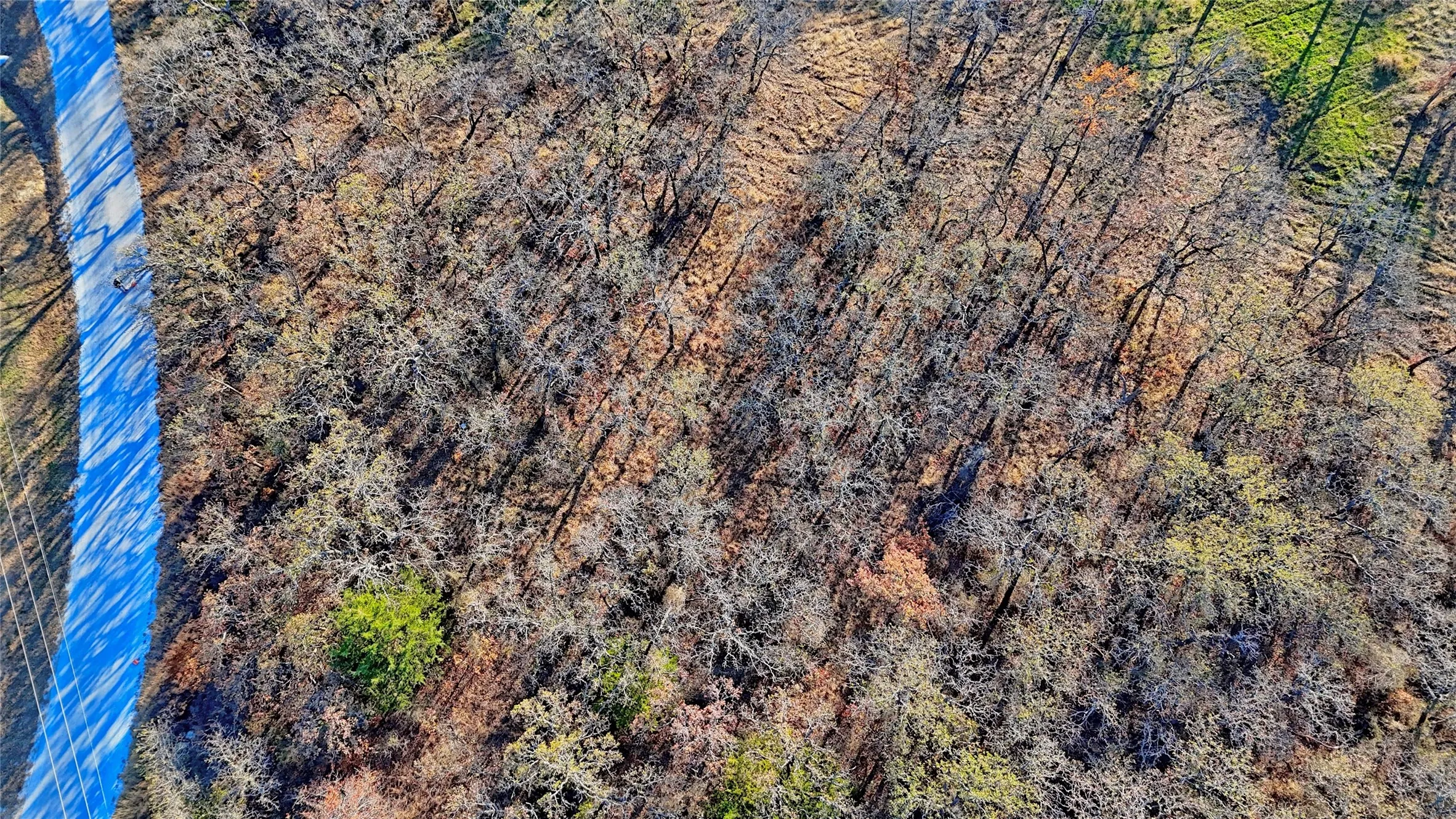 Unimproved Land For Sale in Montague County , 103 Diamond Oaks Drive, Nocona, Texas 76255, 0, 0, Garage spaces, 0 Sqft, built in 0, mls#21411291, Real Estate Agent in Nocona, Homes For Sale in Montague county, Homes For Sale in Nocona, Realtor in Nocona Texas, Real Estate Brokerage Independent Realty Texas, Luminita Cordes Realtor