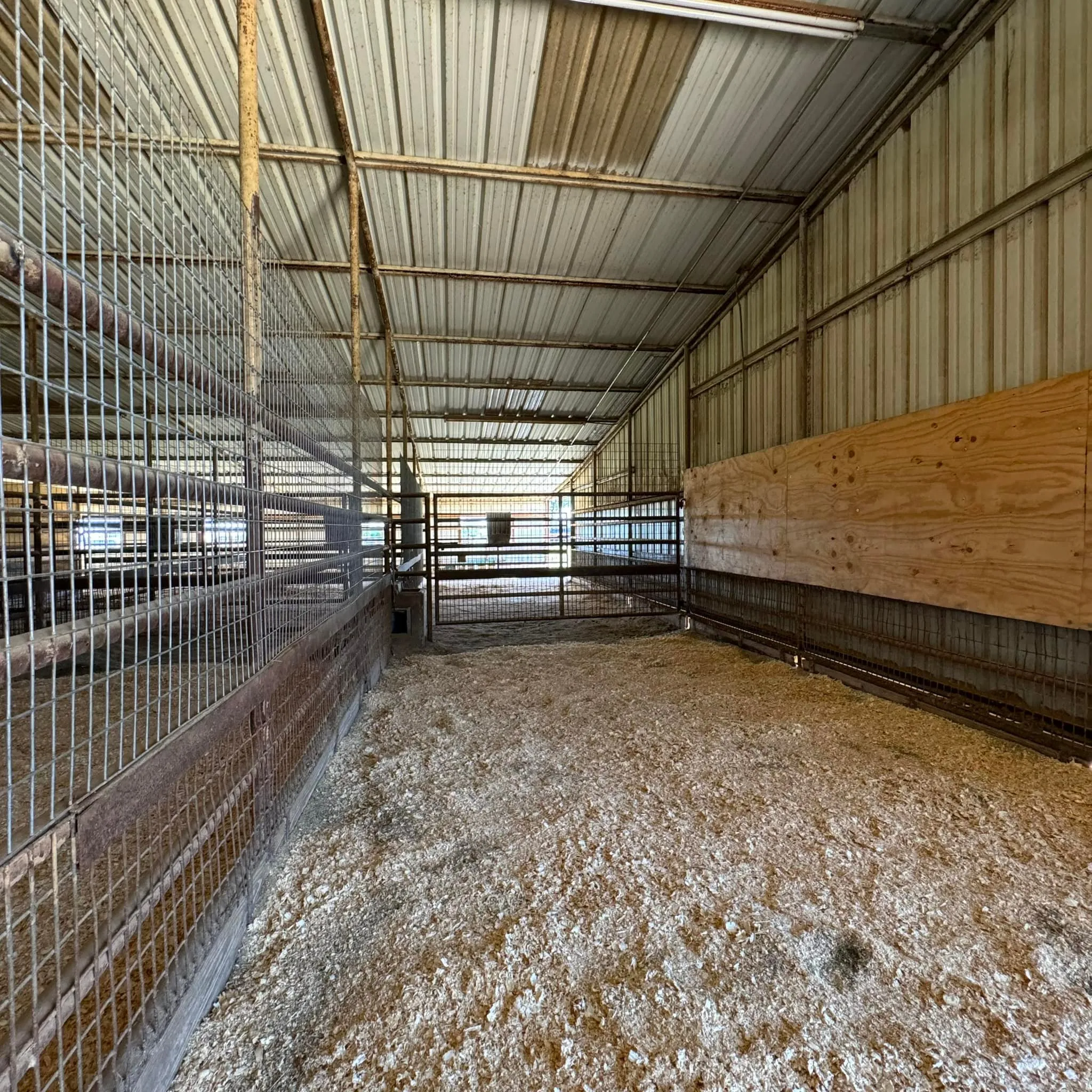 Ranch For Sale in Denton County , 10145 Friendship Road, Pilot Point, Texas 76258, 0, 0, Garage spaces, 0 Sqft, built in 0, mls#21411286, Real Estate Agent in Pilot Point, Homes For Sale in Denton county, Homes For Sale in Pilot Point, Realtor in Pilot Point Texas, Real Estate Brokerage Independent Realty Texas, Luminita Cordes Realtor
