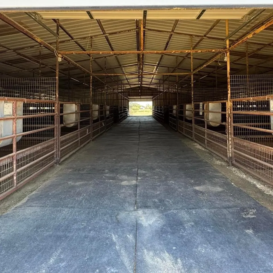 Ranch For Sale in Denton County , 10145 Friendship Road, Pilot Point, Texas 76258, 0, 0, Garage spaces, 0 Sqft, built in 0, mls#21411286, Real Estate Agent in Pilot Point, Homes For Sale in Denton county, Homes For Sale in Pilot Point, Realtor in Pilot Point Texas, Real Estate Brokerage Independent Realty Texas, Luminita Cordes Realtor