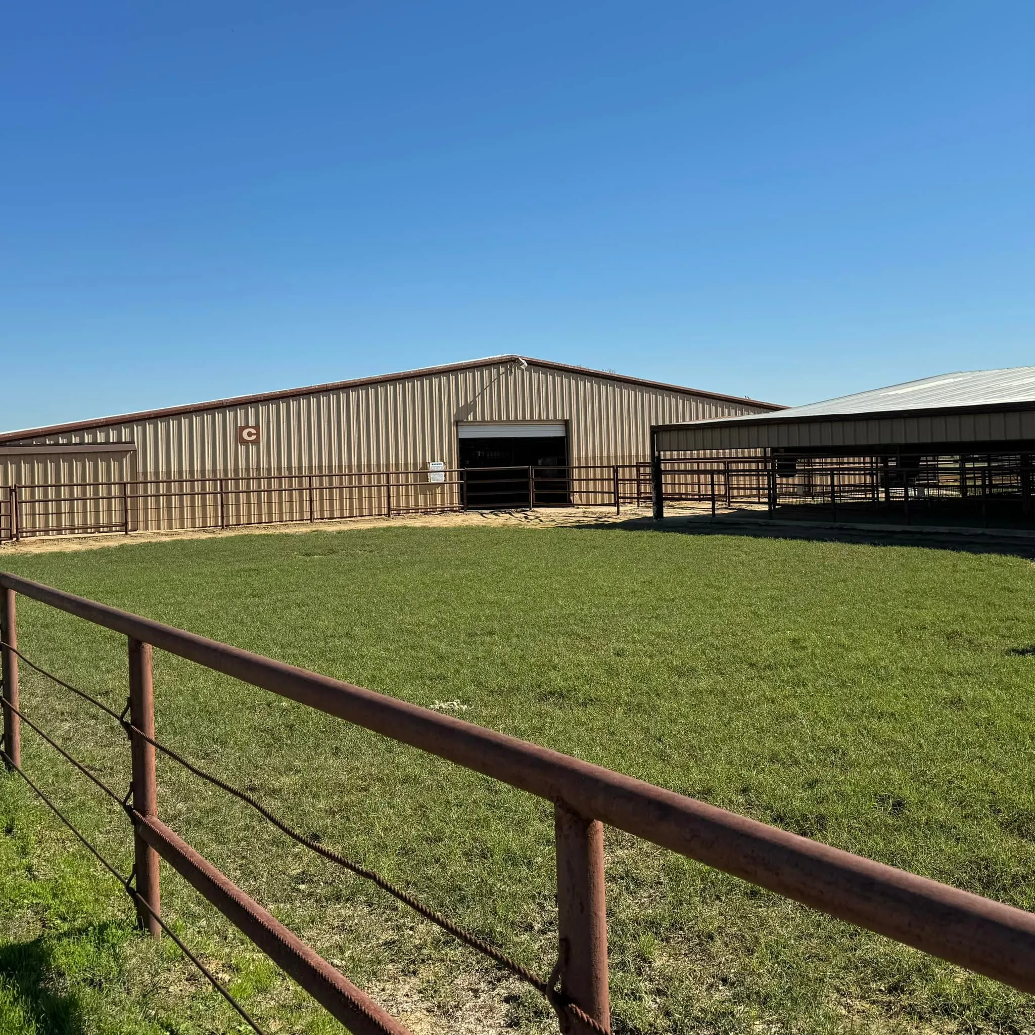Ranch For Sale in Denton County , 10145 Friendship Road, Pilot Point, Texas 76258, 0, 0, Garage spaces, 0 Sqft, built in 0, mls#21411286, Real Estate Agent in Pilot Point, Homes For Sale in Denton county, Homes For Sale in Pilot Point, Realtor in Pilot Point Texas, Real Estate Brokerage Independent Realty Texas, Luminita Cordes Realtor