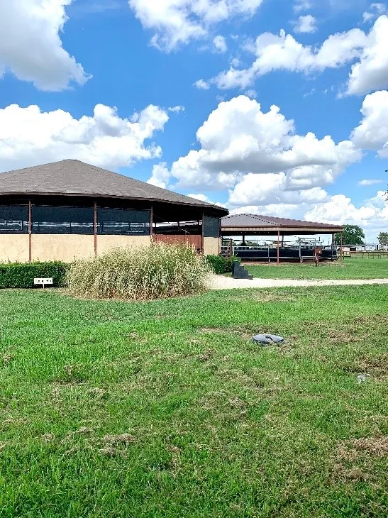 Ranch For Sale in Denton County , 10145 Friendship Road, Pilot Point, Texas 76258, 0, 0, Garage spaces, 0 Sqft, built in 0, mls#21411286, Real Estate Agent in Pilot Point, Homes For Sale in Denton county, Homes For Sale in Pilot Point, Realtor in Pilot Point Texas, Real Estate Brokerage Independent Realty Texas, Luminita Cordes Realtor