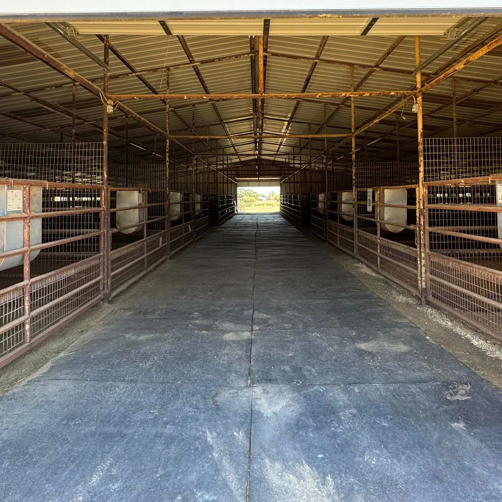 Ranch For Sale in Denton County , 10145 Friendship Road, Pilot Point, Texas 76258, 0, 0, Garage spaces, 0 Sqft, built in 0, mls#21411286, Real Estate Agent in Pilot Point, Homes For Sale in Denton county, Homes For Sale in Pilot Point, Realtor in Pilot Point Texas, Real Estate Brokerage Independent Realty Texas, Luminita Cordes Realtor