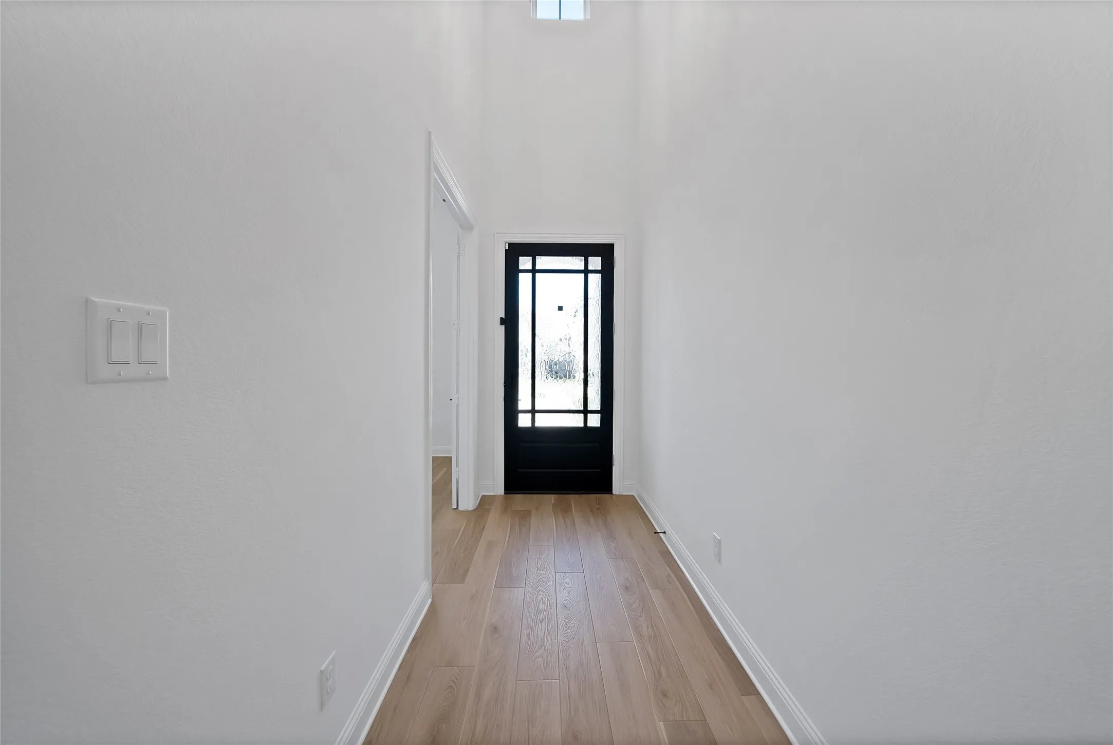 Entry featuring high ceilings, wood-finish flooring, and a multi-pane glass door with a dark frame