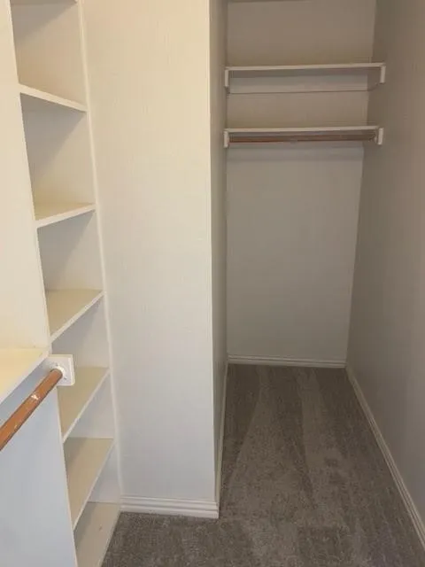 Custom closet featuring built-in shelving, dual hanging rods, and neutral carpeting