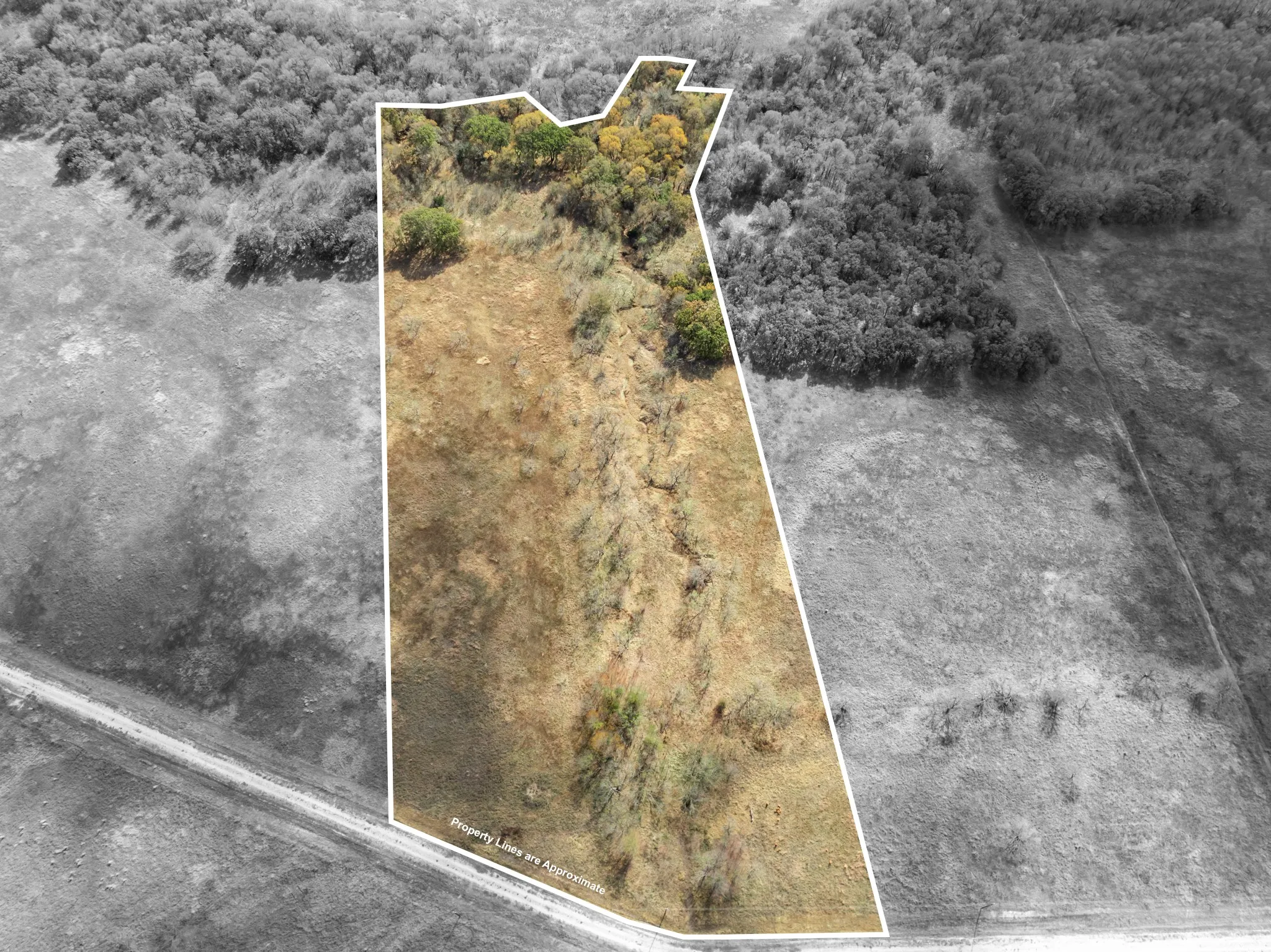 Unimproved Land For Sale