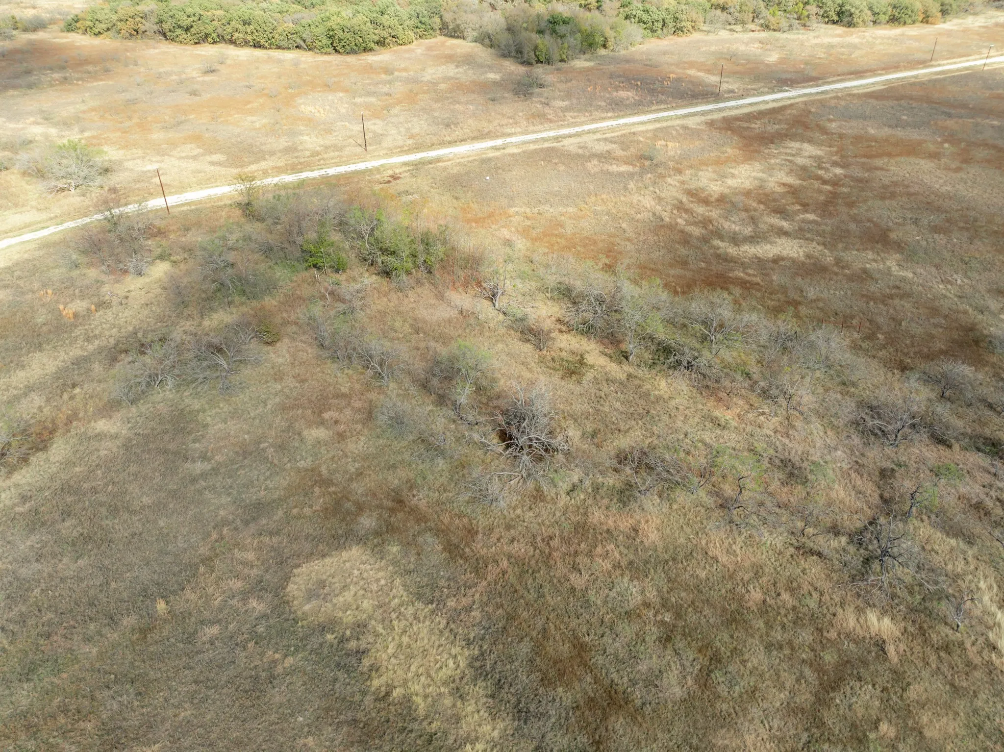 Unimproved Land For Sale in Hill County , TBD OFF HCR 3368, Hubbard, Texas 76648, 0, 0, Garage spaces, 0 Sqft, built in 0, mls#21410326, Real Estate Agent in Hubbard, Homes For Sale in Hill county, Homes For Sale in Hubbard, Realtor in Hubbard Texas, Real Estate Brokerage Independent Realty Texas, Luminita Cordes Realtor