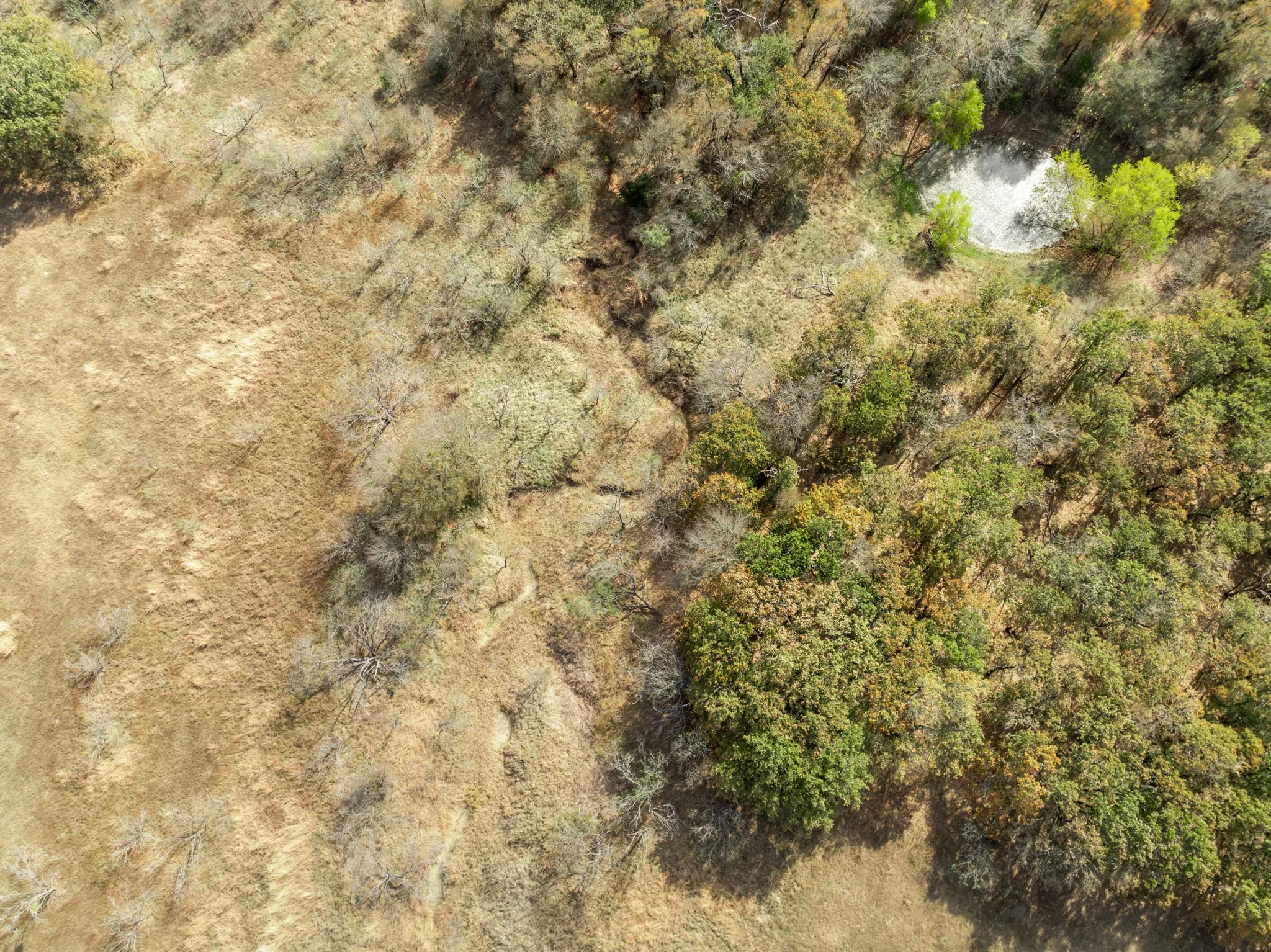 Unimproved Land For Sale in Hill County , TBD OFF HCR 3368, Hubbard, Texas 76648, 0, 0, Garage spaces, 0 Sqft, built in 0, mls#21410326, Real Estate Agent in Hubbard, Homes For Sale in Hill county, Homes For Sale in Hubbard, Realtor in Hubbard Texas, Real Estate Brokerage Independent Realty Texas, Luminita Cordes Realtor
