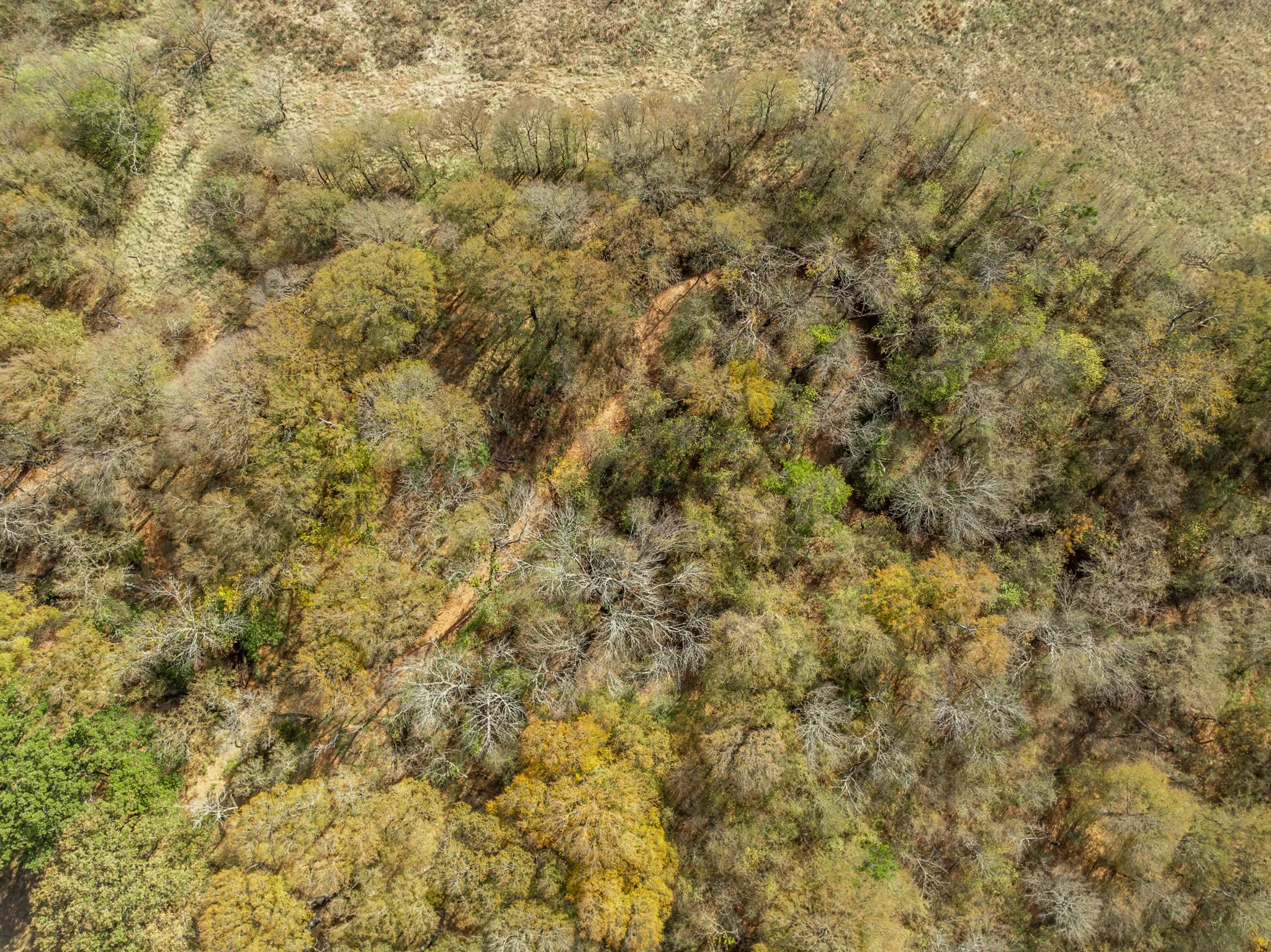 Unimproved Land For Sale in Hill County , TBD OFF HCR 3368, Hubbard, Texas 76648, 0, 0, Garage spaces, 0 Sqft, built in 0, mls#21410326, Real Estate Agent in Hubbard, Homes For Sale in Hill county, Homes For Sale in Hubbard, Realtor in Hubbard Texas, Real Estate Brokerage Independent Realty Texas, Luminita Cordes Realtor