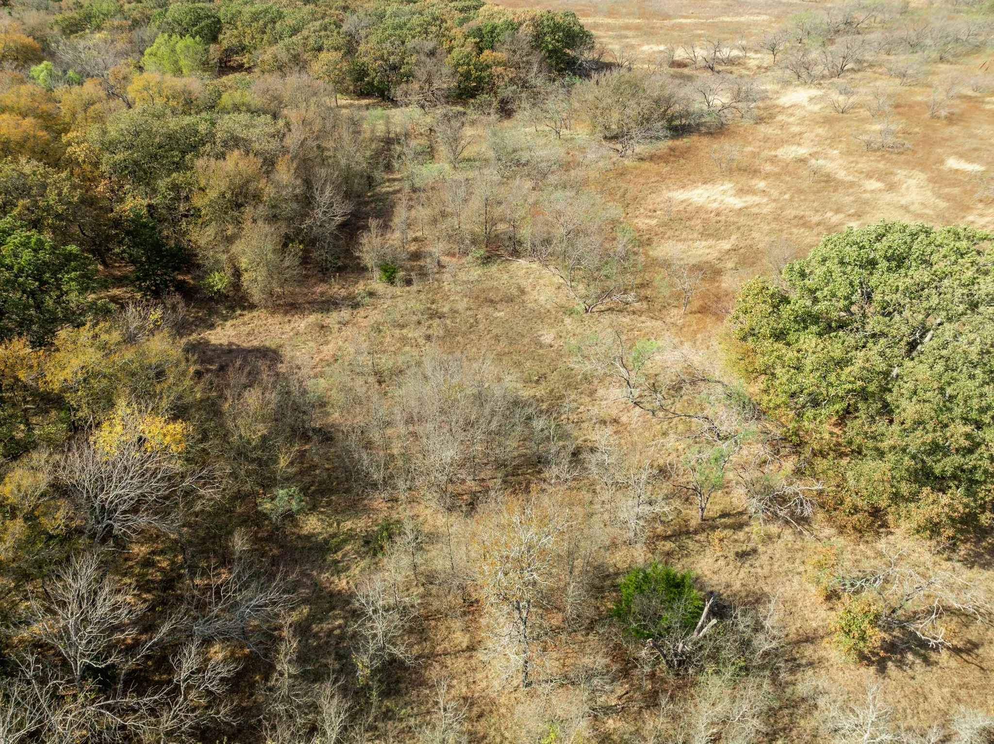 Unimproved Land For Sale in Hill County , TBD OFF HCR 3368, Hubbard, Texas 76648, 0, 0, Garage spaces, 0 Sqft, built in 0, mls#21410326, Real Estate Agent in Hubbard, Homes For Sale in Hill county, Homes For Sale in Hubbard, Realtor in Hubbard Texas, Real Estate Brokerage Independent Realty Texas, Luminita Cordes Realtor