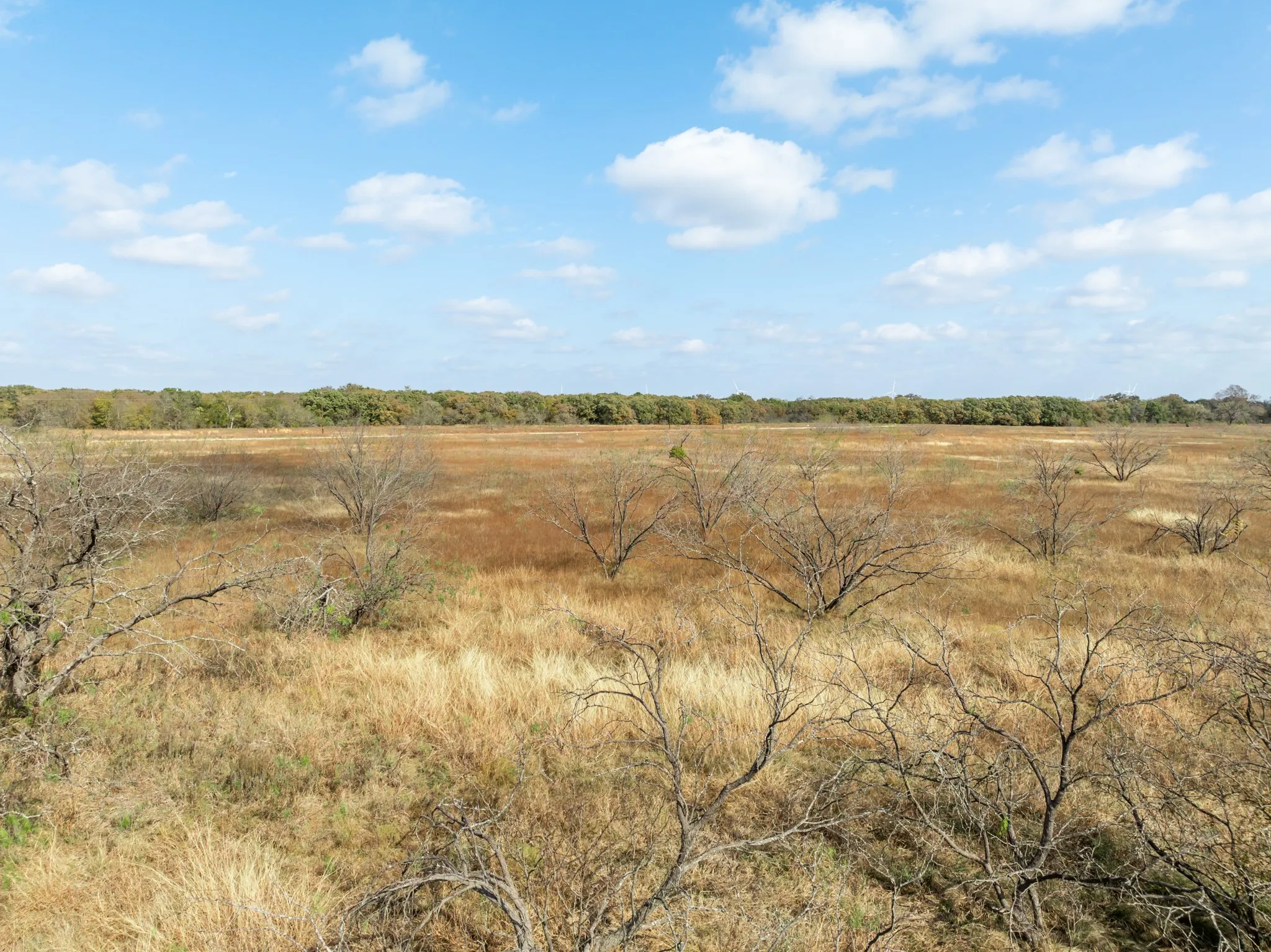 Unimproved Land For Sale in Hill County , TBD OFF HCR 3368, Hubbard, Texas 76648, 0, 0, Garage spaces, 0 Sqft, built in 0, mls#21410326, Real Estate Agent in Hubbard, Homes For Sale in Hill county, Homes For Sale in Hubbard, Realtor in Hubbard Texas, Real Estate Brokerage Independent Realty Texas, Luminita Cordes Realtor