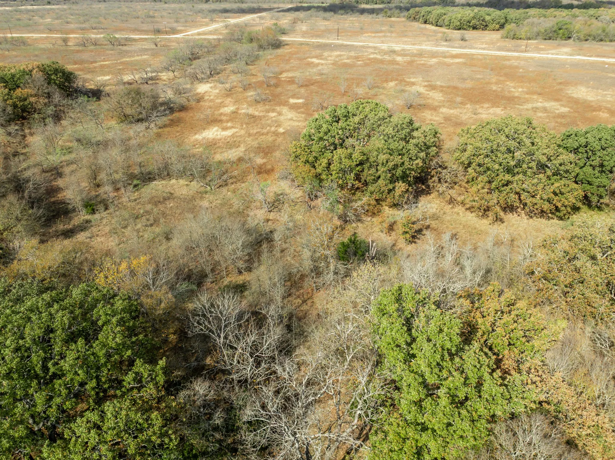 Unimproved Land For Sale in Hill County , TBD OFF HCR 3368, Hubbard, Texas 76648, 0, 0, Garage spaces, 0 Sqft, built in 0, mls#21410326, Real Estate Agent in Hubbard, Homes For Sale in Hill county, Homes For Sale in Hubbard, Realtor in Hubbard Texas, Real Estate Brokerage Independent Realty Texas, Luminita Cordes Realtor