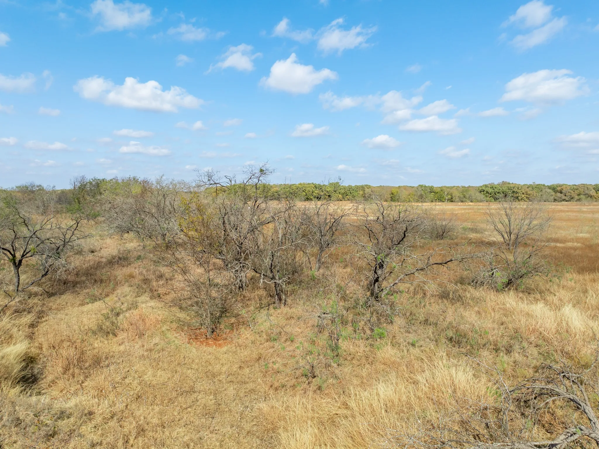 Unimproved Land For Sale in Hill County , TBD OFF HCR 3368, Hubbard, Texas 76648, 0, 0, Garage spaces, 0 Sqft, built in 0, mls#21410326, Real Estate Agent in Hubbard, Homes For Sale in Hill county, Homes For Sale in Hubbard, Realtor in Hubbard Texas, Real Estate Brokerage Independent Realty Texas, Luminita Cordes Realtor