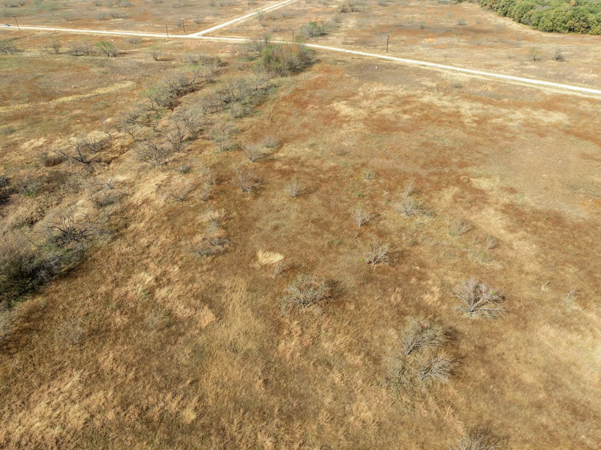 Unimproved Land For Sale in Hill County , TBD OFF HCR 3368, Hubbard, Texas 76648, 0, 0, Garage spaces, 0 Sqft, built in 0, mls#21410326, Real Estate Agent in Hubbard, Homes For Sale in Hill county, Homes For Sale in Hubbard, Realtor in Hubbard Texas, Real Estate Brokerage Independent Realty Texas, Luminita Cordes Realtor