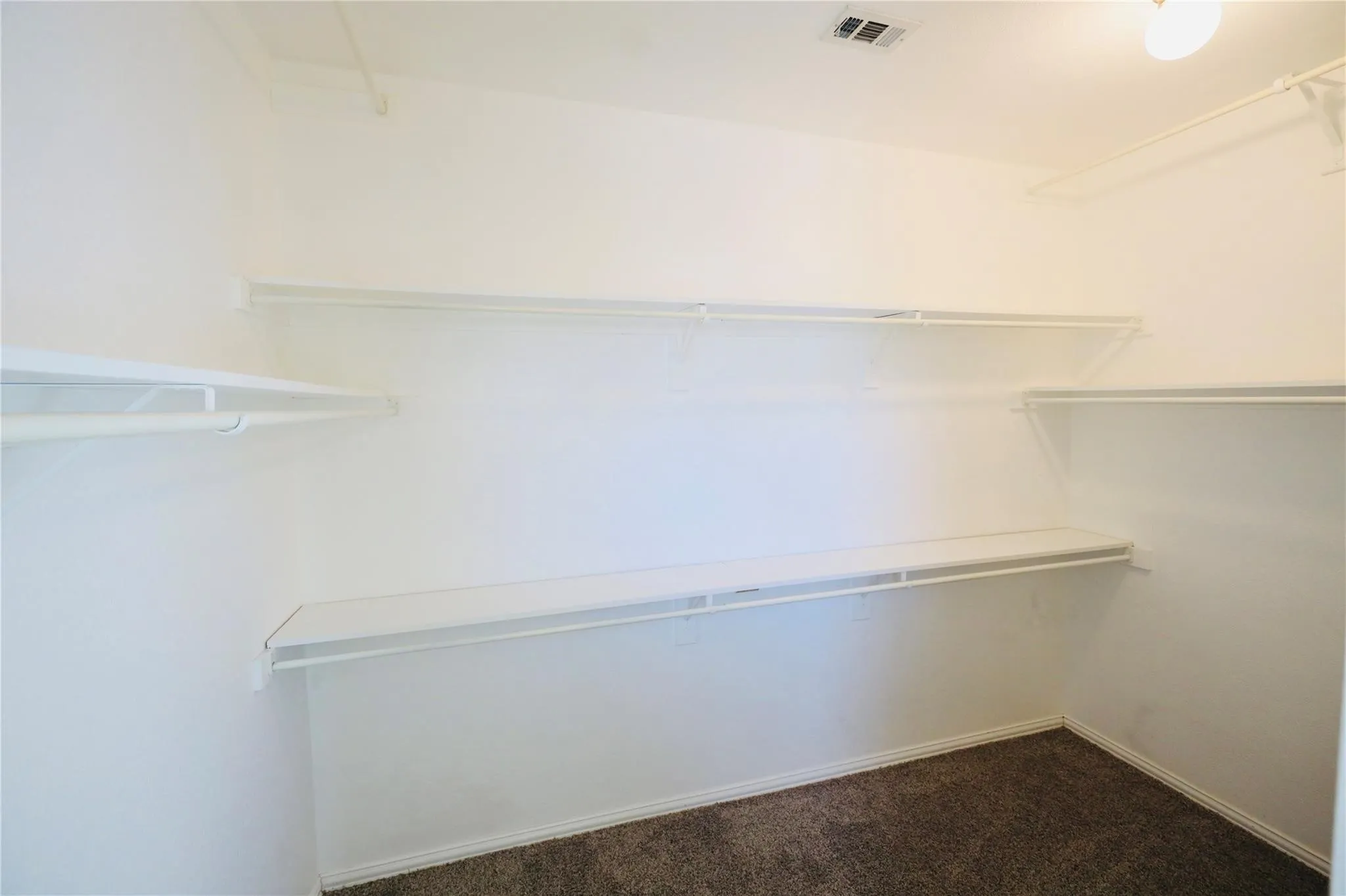 Walk-in closet featuring white wire shelving, hanging rods, and a carpeted floor
