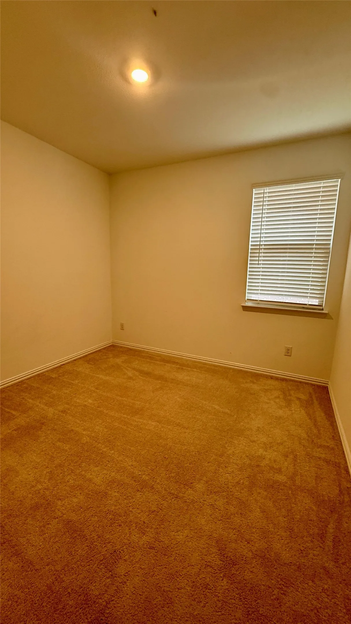 Single Family Residence For Rent in Collin County , 412 Ardsley Lane, Princeton, Texas 75407, 4 Bedroom, 2 Bathroom, 2 Garage spaces, 1,994 Sqft, built in 2023, mls#21411526, Real Estate Agent in Princeton, Homes For Rent in Collin county, Homes For Rent in Princeton, Realtor in Princeton Texas, Real Estate Brokerage Independent Realty Texas, Luminita Cordes Realtor