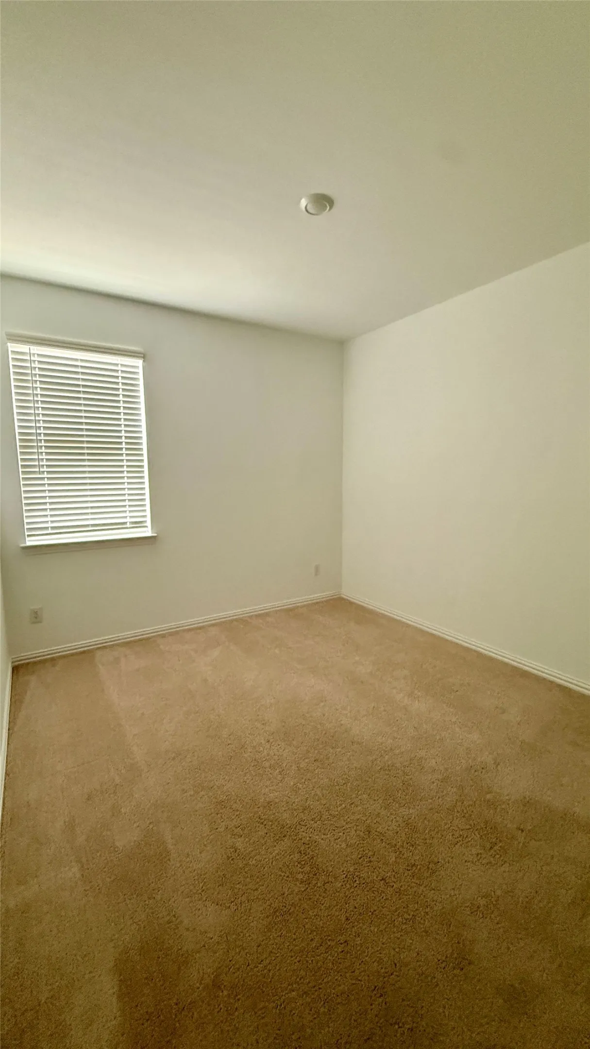 Single Family Residence For Rent in Collin County , 412 Ardsley Lane, Princeton, Texas 75407, 4 Bedroom, 2 Bathroom, 2 Garage spaces, 1,994 Sqft, built in 2023, mls#21411526, Real Estate Agent in Princeton, Homes For Rent in Collin county, Homes For Rent in Princeton, Realtor in Princeton Texas, Real Estate Brokerage Independent Realty Texas, Luminita Cordes Realtor