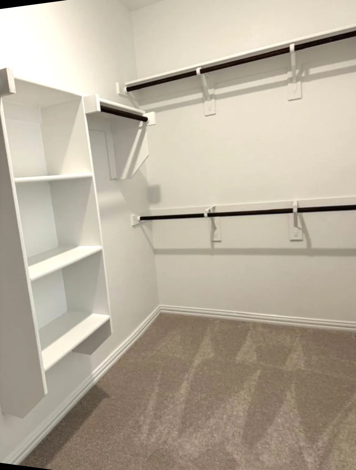 Spacious closet featuring carpet flooring