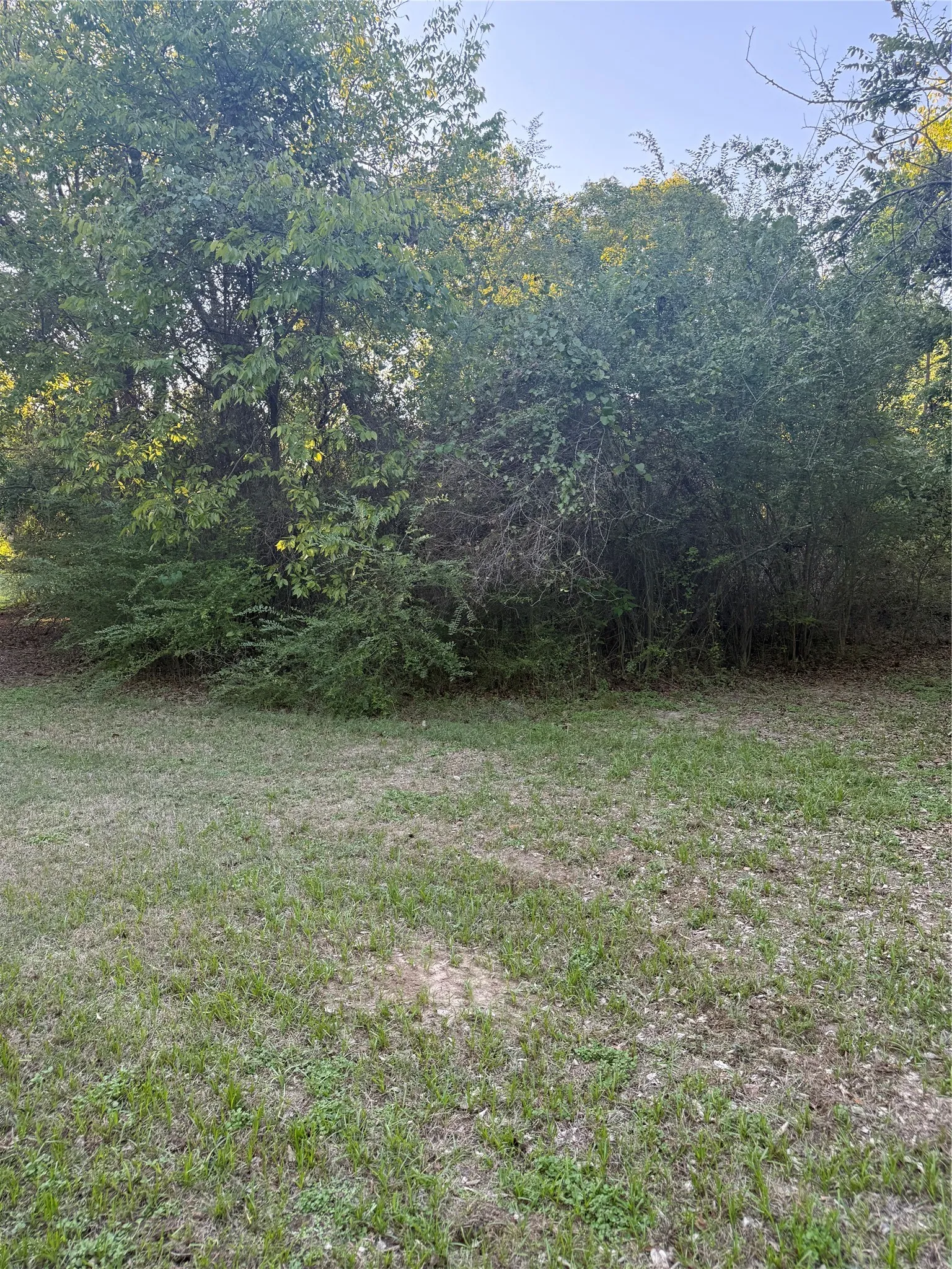 Unimproved Land For Sale in Van Zandt County , TBD Mc Kain Alley, Wills Point, Texas 75169, 0, 0, Garage spaces, 0 Sqft, built in 0, mls#21409350, Real Estate Agent in Wills Point, Homes For Sale in Van Zandt county, Homes For Sale in Wills Point, Realtor in Wills Point Texas, Real Estate Brokerage Independent Realty Texas, Luminita Cordes Realtor
