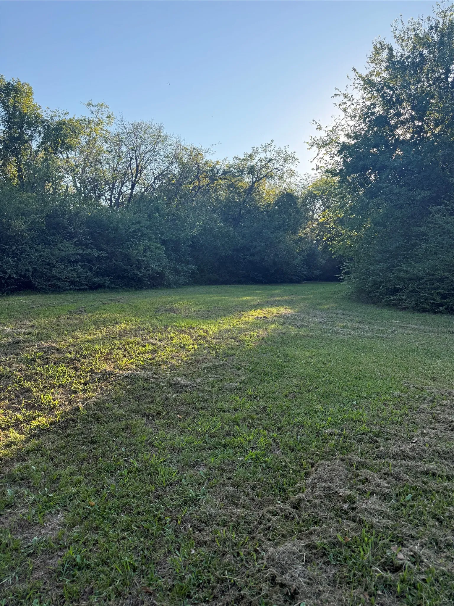 Unimproved Land For Sale in Van Zandt County , TBD Mc Kain Alley, Wills Point, Texas 75169, 0, 0, Garage spaces, 0 Sqft, built in 0, mls#21409350, Real Estate Agent in Wills Point, Homes For Sale in Van Zandt county, Homes For Sale in Wills Point, Realtor in Wills Point Texas, Real Estate Brokerage Independent Realty Texas, Luminita Cordes Realtor