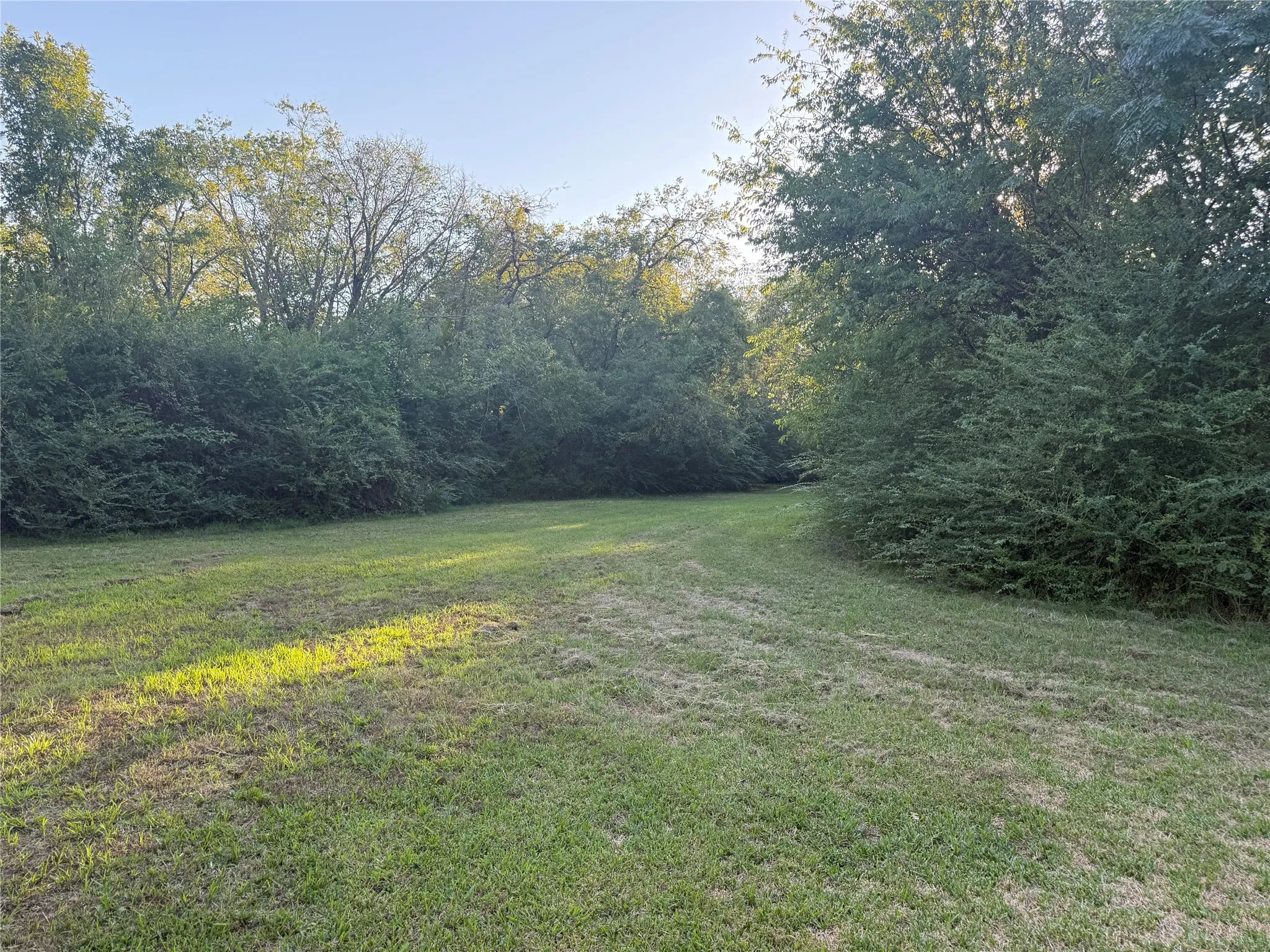 Unimproved Land For Sale in Van Zandt County , TBD Mc Kain Alley, Wills Point, Texas 75169, 0, 0, Garage spaces, 0 Sqft, built in 0, mls#21409350, Real Estate Agent in Wills Point, Homes For Sale in Van Zandt county, Homes For Sale in Wills Point, Realtor in Wills Point Texas, Real Estate Brokerage Independent Realty Texas, Luminita Cordes Realtor
