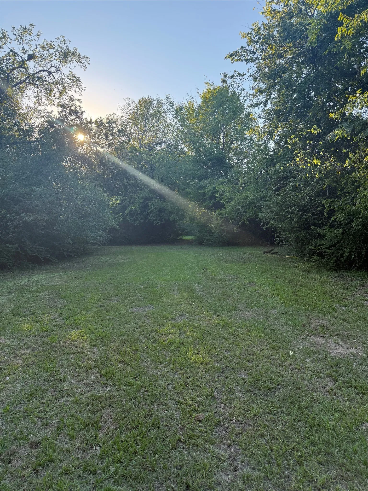 Unimproved Land For Sale in Van Zandt County , TBD Mc Kain Alley, Wills Point, Texas 75169, 0, 0, Garage spaces, 0 Sqft, built in 0, mls#21409350, Real Estate Agent in Wills Point, Homes For Sale in Van Zandt county, Homes For Sale in Wills Point, Realtor in Wills Point Texas, Real Estate Brokerage Independent Realty Texas, Luminita Cordes Realtor