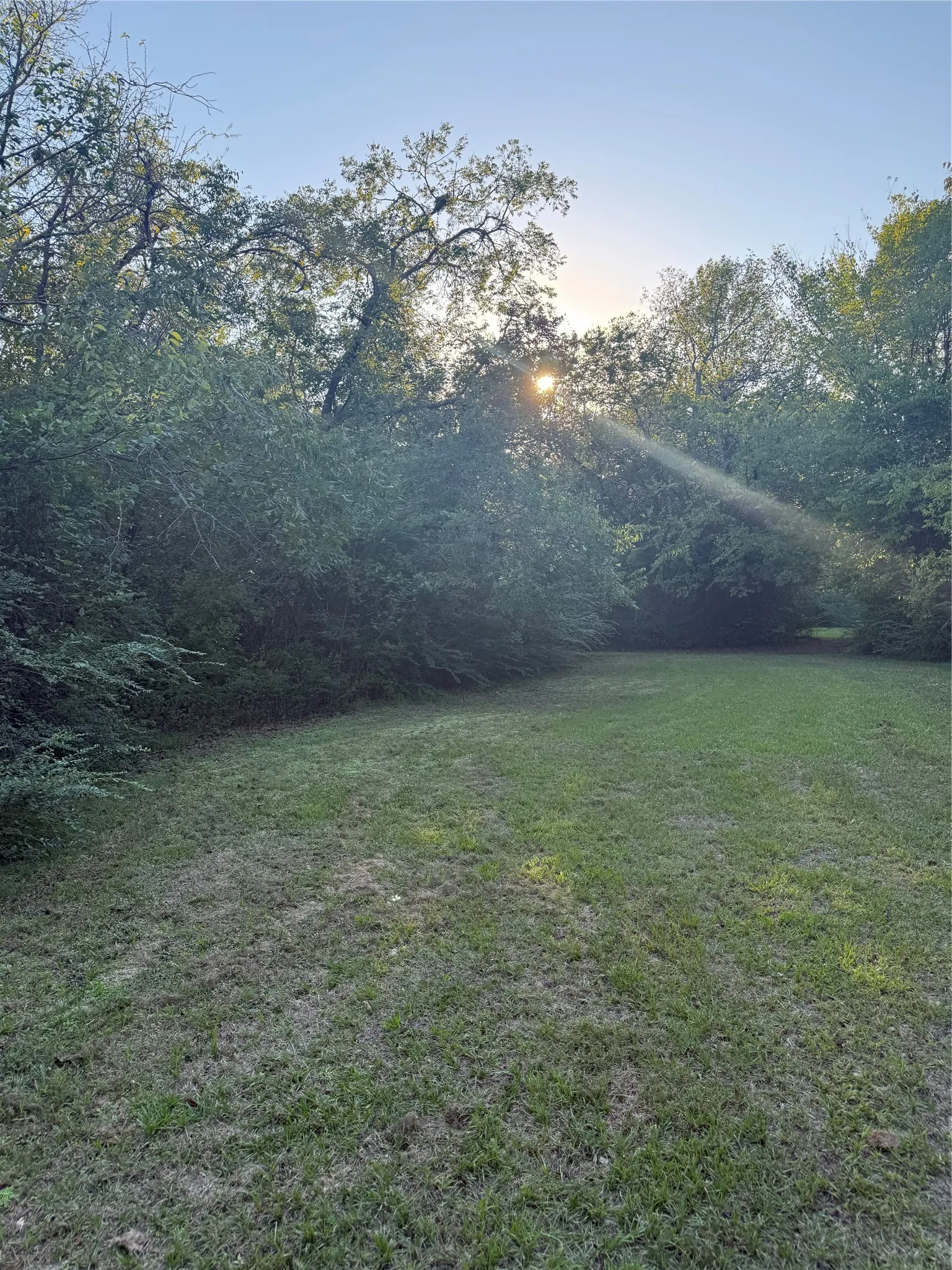 Unimproved Land For Sale in Van Zandt County , TBD Mc Kain Alley, Wills Point, Texas 75169, 0, 0, Garage spaces, 0 Sqft, built in 0, mls#21409350, Real Estate Agent in Wills Point, Homes For Sale in Van Zandt county, Homes For Sale in Wills Point, Realtor in Wills Point Texas, Real Estate Brokerage Independent Realty Texas, Luminita Cordes Realtor