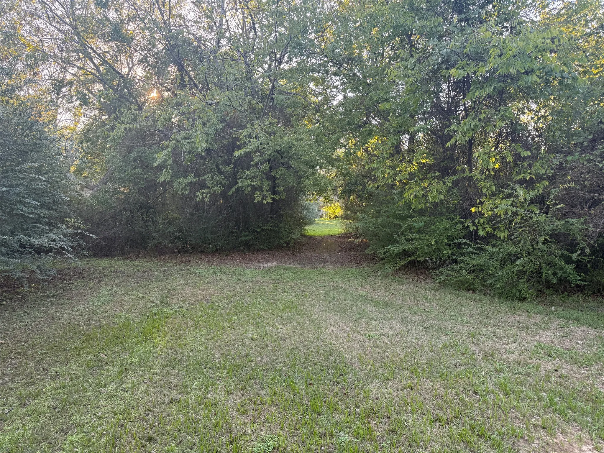 Unimproved Land For Sale in Van Zandt County , TBD Mc Kain Alley, Wills Point, Texas 75169, 0, 0, Garage spaces, 0 Sqft, built in 0, mls#21409350, Real Estate Agent in Wills Point, Homes For Sale in Van Zandt county, Homes For Sale in Wills Point, Realtor in Wills Point Texas, Real Estate Brokerage Independent Realty Texas, Luminita Cordes Realtor