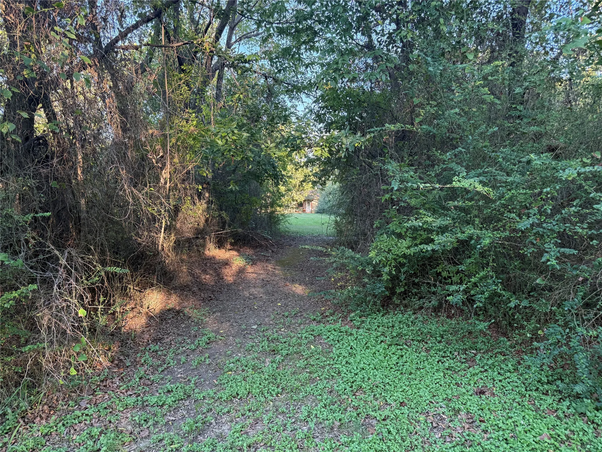 Unimproved Land For Sale in Van Zandt County , TBD Mc Kain Alley, Wills Point, Texas 75169, 0, 0, Garage spaces, 0 Sqft, built in 0, mls#21409350, Real Estate Agent in Wills Point, Homes For Sale in Van Zandt county, Homes For Sale in Wills Point, Realtor in Wills Point Texas, Real Estate Brokerage Independent Realty Texas, Luminita Cordes Realtor
