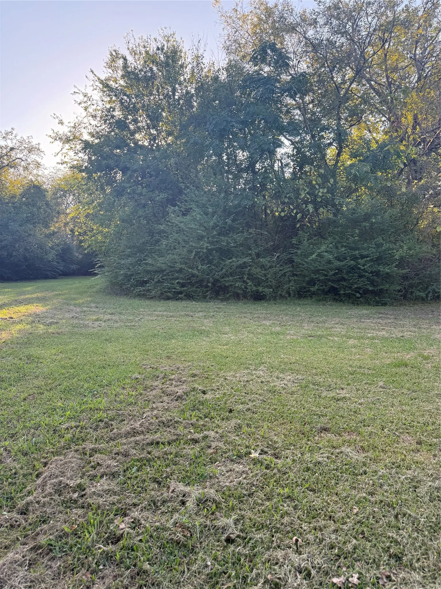 Unimproved Land For Sale in Van Zandt County , TBD Mc Kain Alley, Wills Point, Texas 75169, 0, 0, Garage spaces, 0 Sqft, built in 0, mls#21409350, Real Estate Agent in Wills Point, Homes For Sale in Van Zandt county, Homes For Sale in Wills Point, Realtor in Wills Point Texas, Real Estate Brokerage Independent Realty Texas, Luminita Cordes Realtor