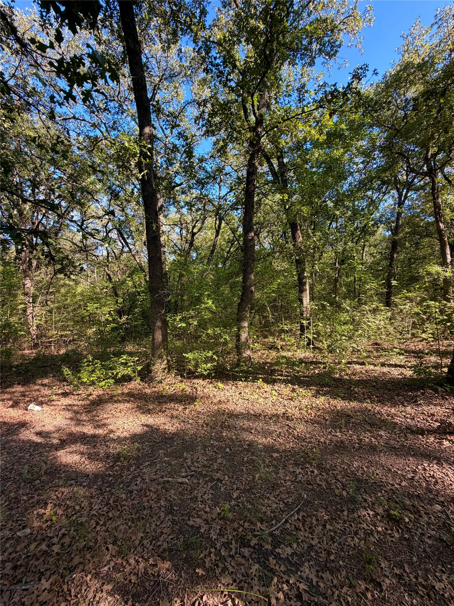 Single Family Residence For Sale in Hunt County , 9460 Amy Drive, Hawk Cove, Texas 75474, 1 Bedroom, 1 Bathroom, Garage spaces, 575 Sqft, built in 1974, mls#21407521, Real Estate Agent in Hawk Cove, Homes For Sale in Hunt county, Homes For Sale in Hawk Cove, Realtor in Hawk Cove Texas, Real Estate Brokerage Independent Realty Texas, Luminita Cordes Realtor