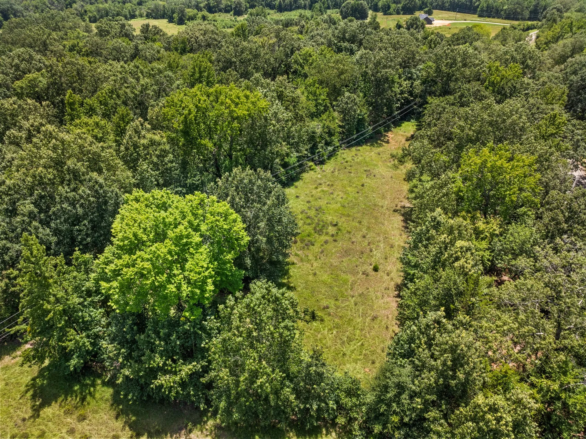 Unimproved Land For Sale in Titus County , TBD Interstate 30 TR 3, Cookville, Texas 75558, 0, 0, Garage spaces, 0 Sqft, built in 0, mls#21409463, Real Estate Agent in Cookville, Homes For Sale in Titus county, Homes For Sale in Cookville, Realtor in Cookville Texas, Real Estate Brokerage Independent Realty Texas, Luminita Cordes Realtor