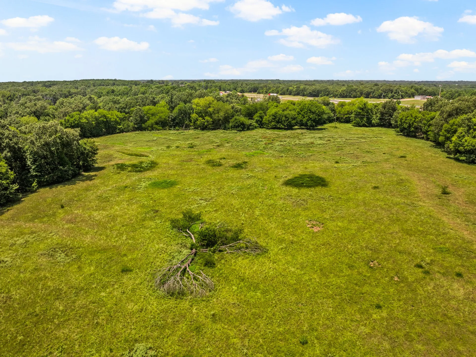 Unimproved Land For Sale in Titus County , TBD Interstate 30 TR 3, Cookville, Texas 75558, 0, 0, Garage spaces, 0 Sqft, built in 0, mls#21409463, Real Estate Agent in Cookville, Homes For Sale in Titus county, Homes For Sale in Cookville, Realtor in Cookville Texas, Real Estate Brokerage Independent Realty Texas, Luminita Cordes Realtor