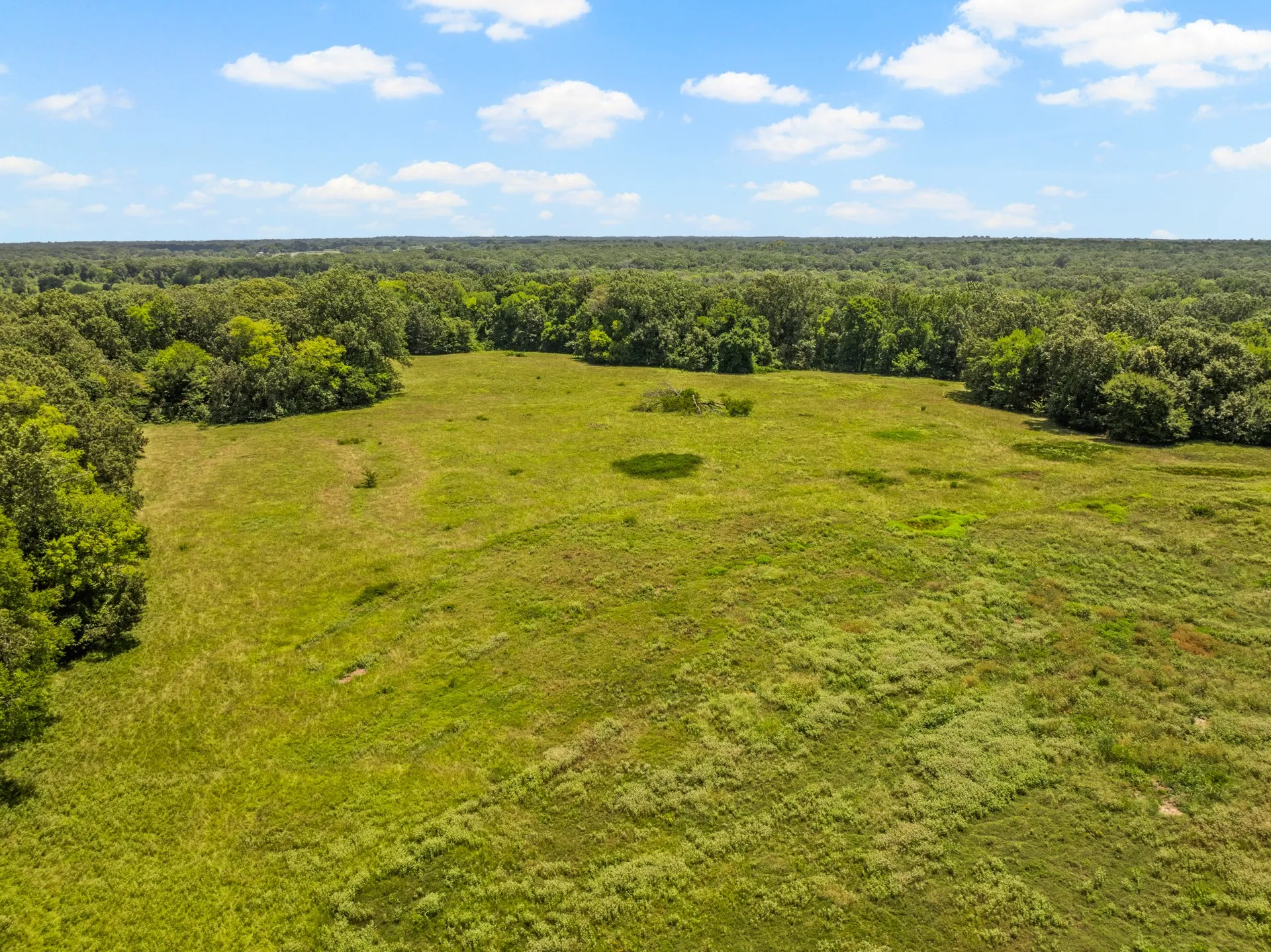 Unimproved Land For Sale in Titus County , TBD Interstate 30 TR 3, Cookville, Texas 75558, 0, 0, Garage spaces, 0 Sqft, built in 0, mls#21409463, Real Estate Agent in Cookville, Homes For Sale in Titus county, Homes For Sale in Cookville, Realtor in Cookville Texas, Real Estate Brokerage Independent Realty Texas, Luminita Cordes Realtor