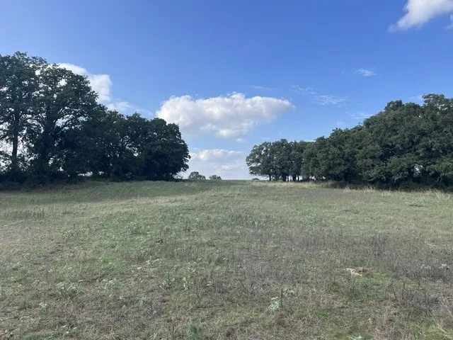 Ranch For Sale in Montague County , 27 S AC Huddleston, Sunset, Texas 76270, 0, 0, Garage spaces, 0 Sqft, built in 0, mls#21411608, Real Estate Agent in Sunset, Homes For Sale in Montague county, Homes For Sale in Sunset, Realtor in Sunset Texas, Real Estate Brokerage Independent Realty Texas, Luminita Cordes Realtor
