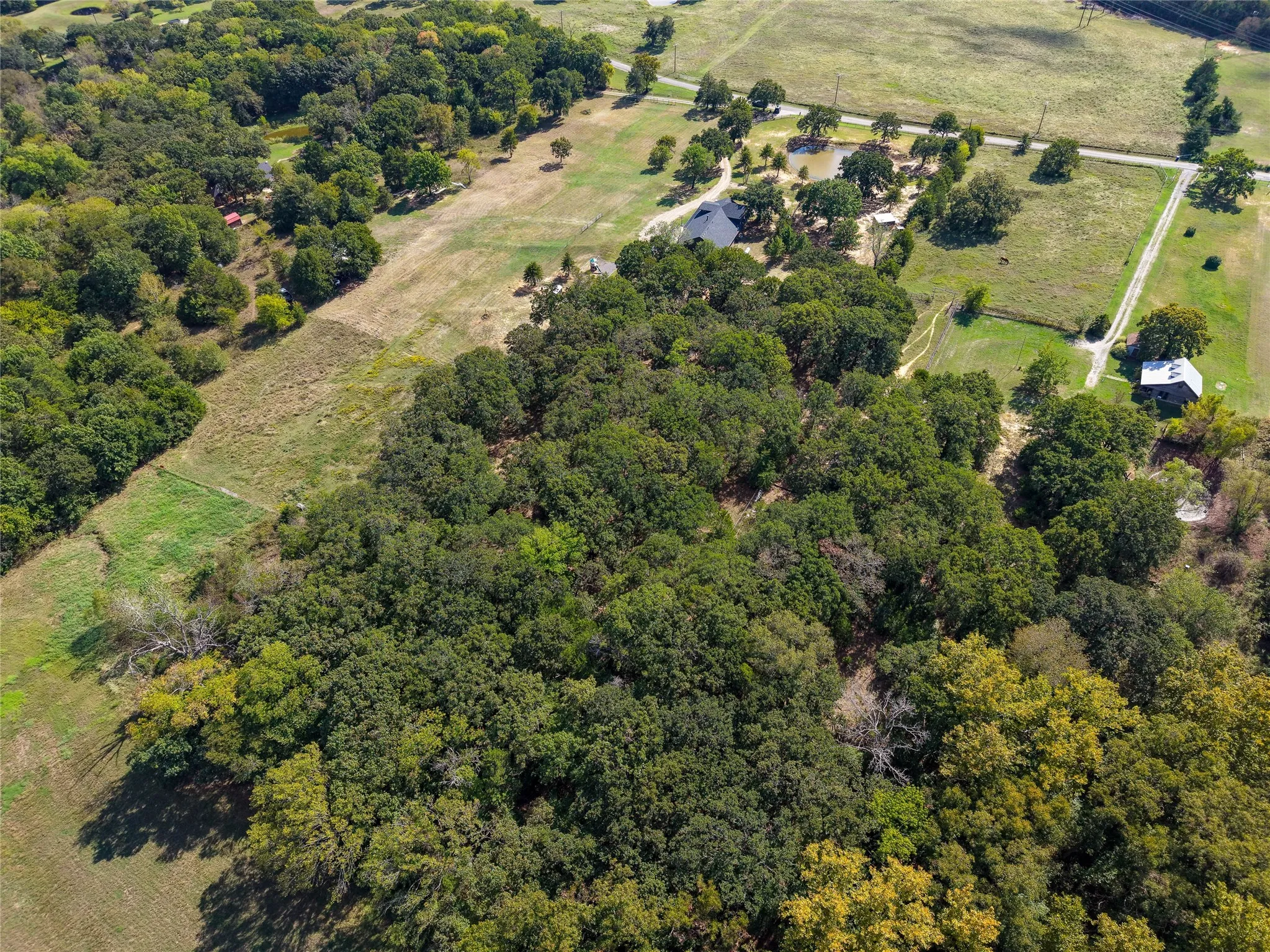 Single Family Residence For Sale in Grayson County , 455 Oak Ridge Road, Denison, Texas 75021, 5 Bedroom, 3 Bathroom, 2 Garage spaces, 3,636 Sqft, built in 1990, mls#21411048, Real Estate Agent in Denison, Homes For Sale in Grayson county, Homes For Sale in Denison, Realtor in Denison Texas, Real Estate Brokerage Independent Realty Texas, Luminita Cordes Realtor