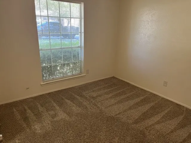 Textured wall-to-wall carpeting and a tall, multi-pane window featuring integrated horizontal blinds