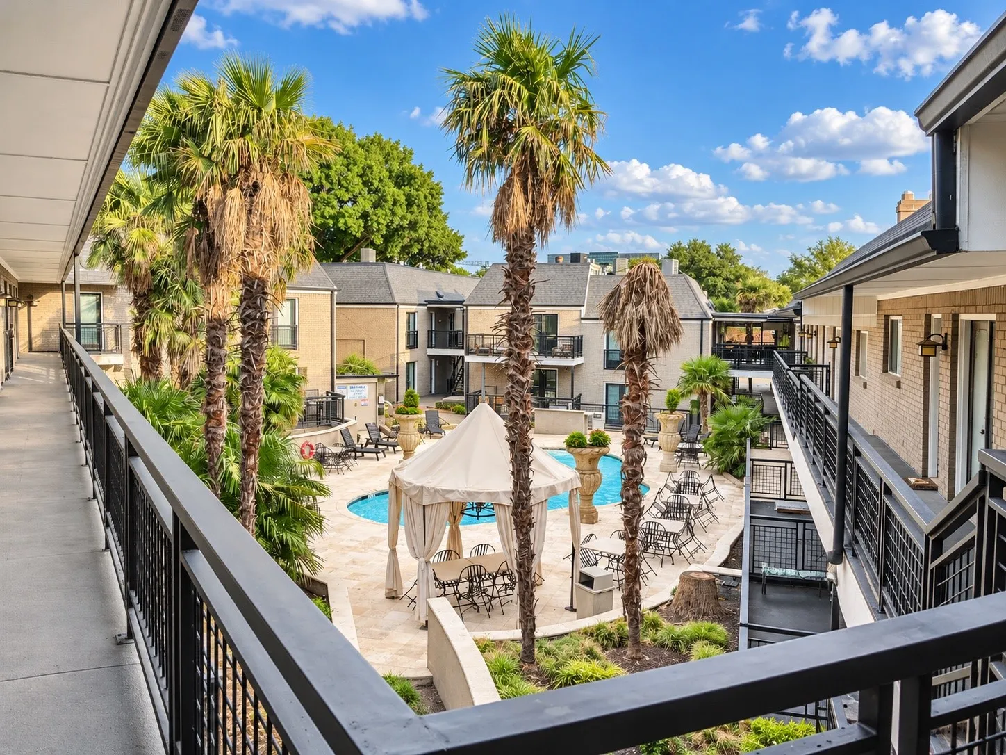 Courtyard featuring a swimming pool, stone-finish decking, mature palm trees, and metal railing accents