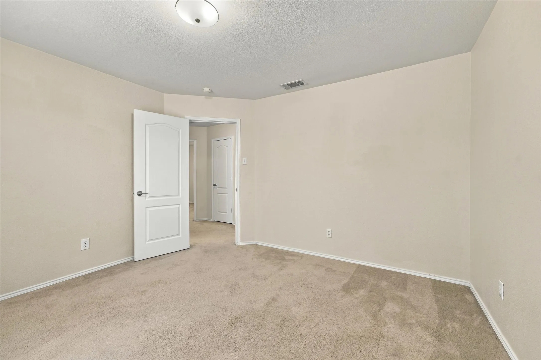 Neutral-toned interior room featuring wall-to-wall carpeting, an arched-panel interior door, and a central ceiling-mounted light fixture