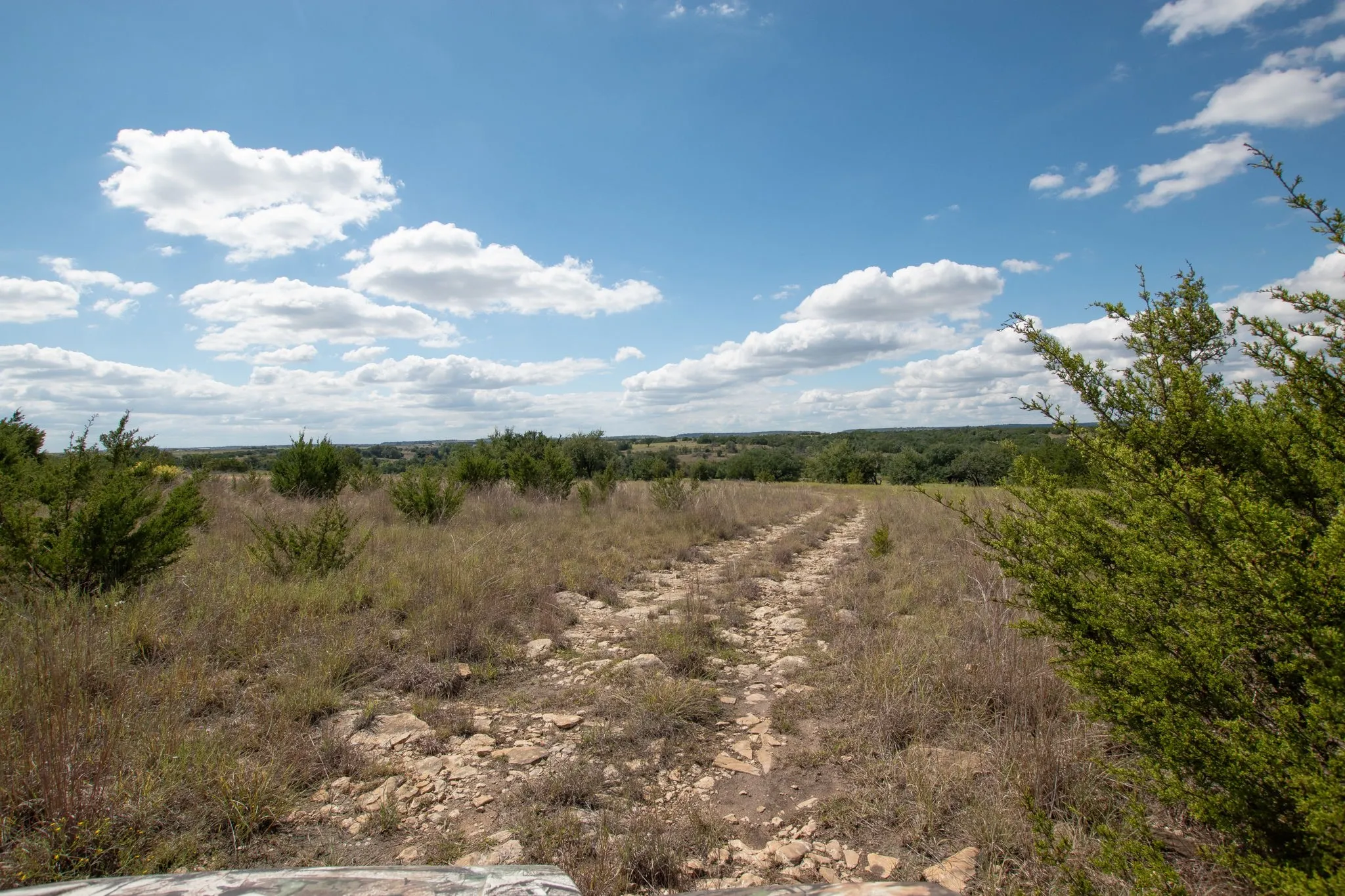 Ranch For Sale in Coryell County , TBD TBD-384 Acres, Gatesville, Texas 76528, 0, 0, Garage spaces, 0 Sqft, built in 0, mls#21411721, Real Estate Agent in Gatesville, Homes For Sale in Coryell county, Homes For Sale in Gatesville, Realtor in Gatesville Texas, Real Estate Brokerage Independent Realty Texas, Luminita Cordes Realtor