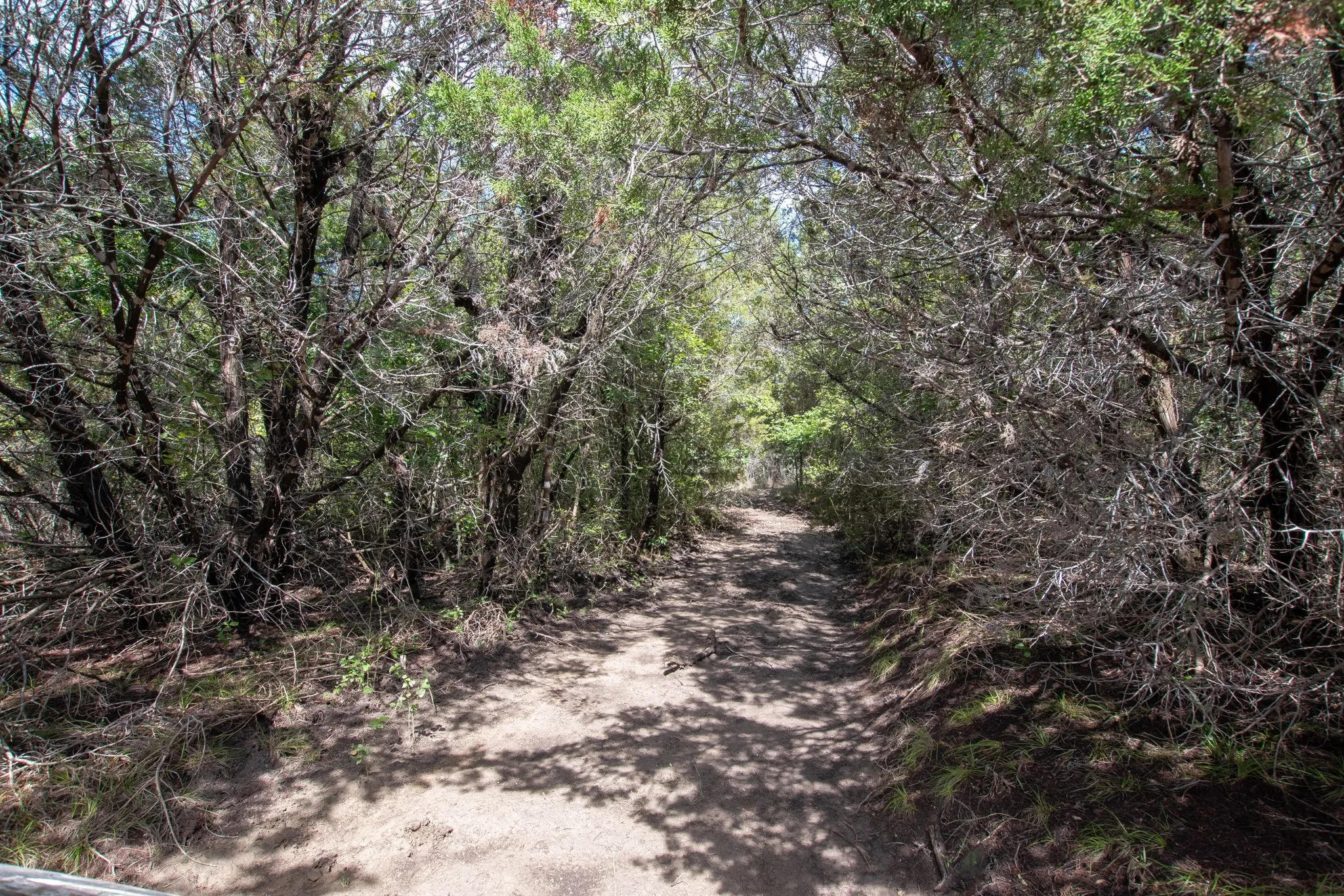 Ranch For Sale in Coryell County , TBD TBD-384 Acres, Gatesville, Texas 76528, 0, 0, Garage spaces, 0 Sqft, built in 0, mls#21411721, Real Estate Agent in Gatesville, Homes For Sale in Coryell county, Homes For Sale in Gatesville, Realtor in Gatesville Texas, Real Estate Brokerage Independent Realty Texas, Luminita Cordes Realtor