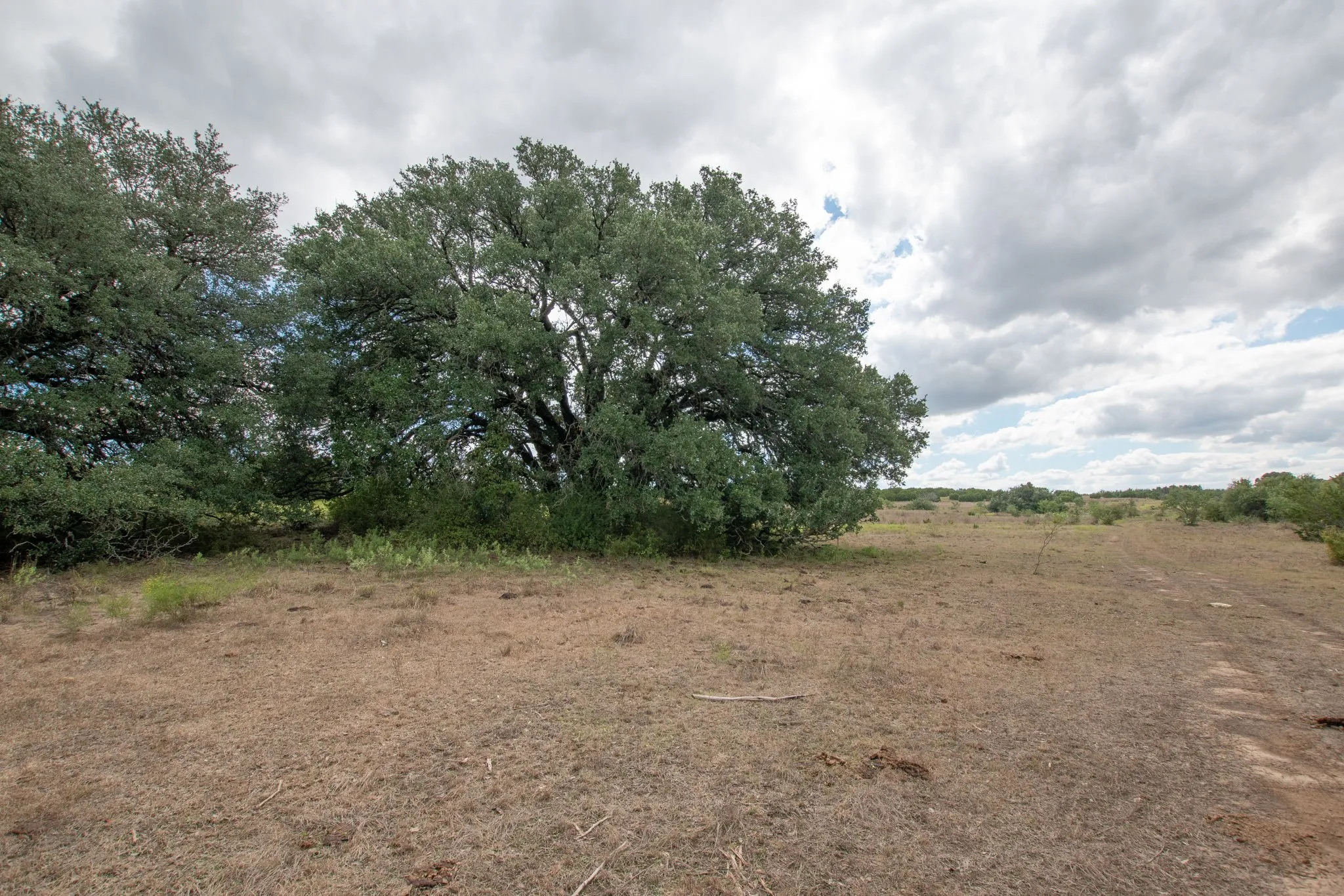 Ranch For Sale in Coryell County , TBD TBD-384 Acres, Gatesville, Texas 76528, 0, 0, Garage spaces, 0 Sqft, built in 0, mls#21411721, Real Estate Agent in Gatesville, Homes For Sale in Coryell county, Homes For Sale in Gatesville, Realtor in Gatesville Texas, Real Estate Brokerage Independent Realty Texas, Luminita Cordes Realtor