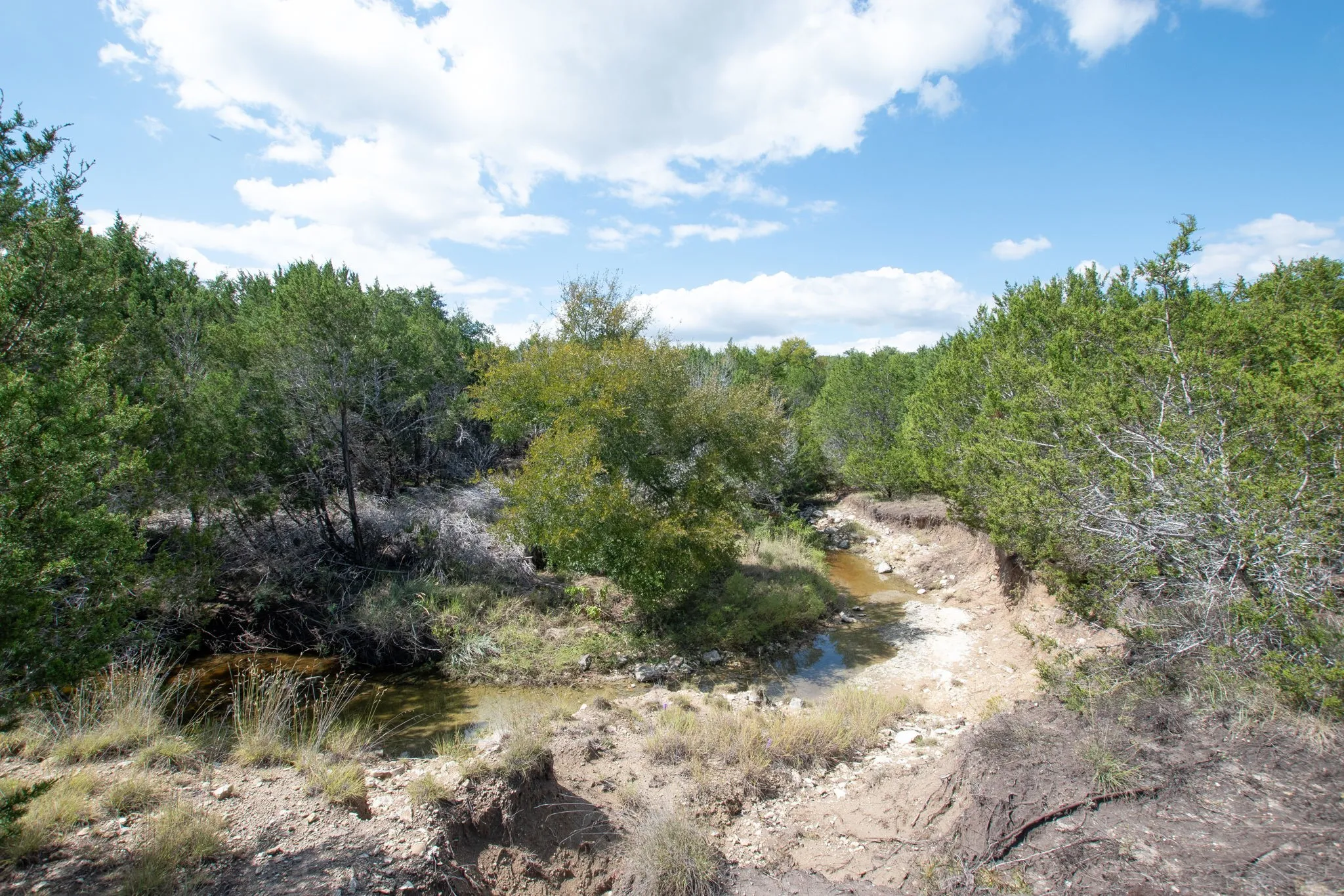 Ranch For Sale in Coryell County , TBD TBD-384 Acres, Gatesville, Texas 76528, 0, 0, Garage spaces, 0 Sqft, built in 0, mls#21411721, Real Estate Agent in Gatesville, Homes For Sale in Coryell county, Homes For Sale in Gatesville, Realtor in Gatesville Texas, Real Estate Brokerage Independent Realty Texas, Luminita Cordes Realtor