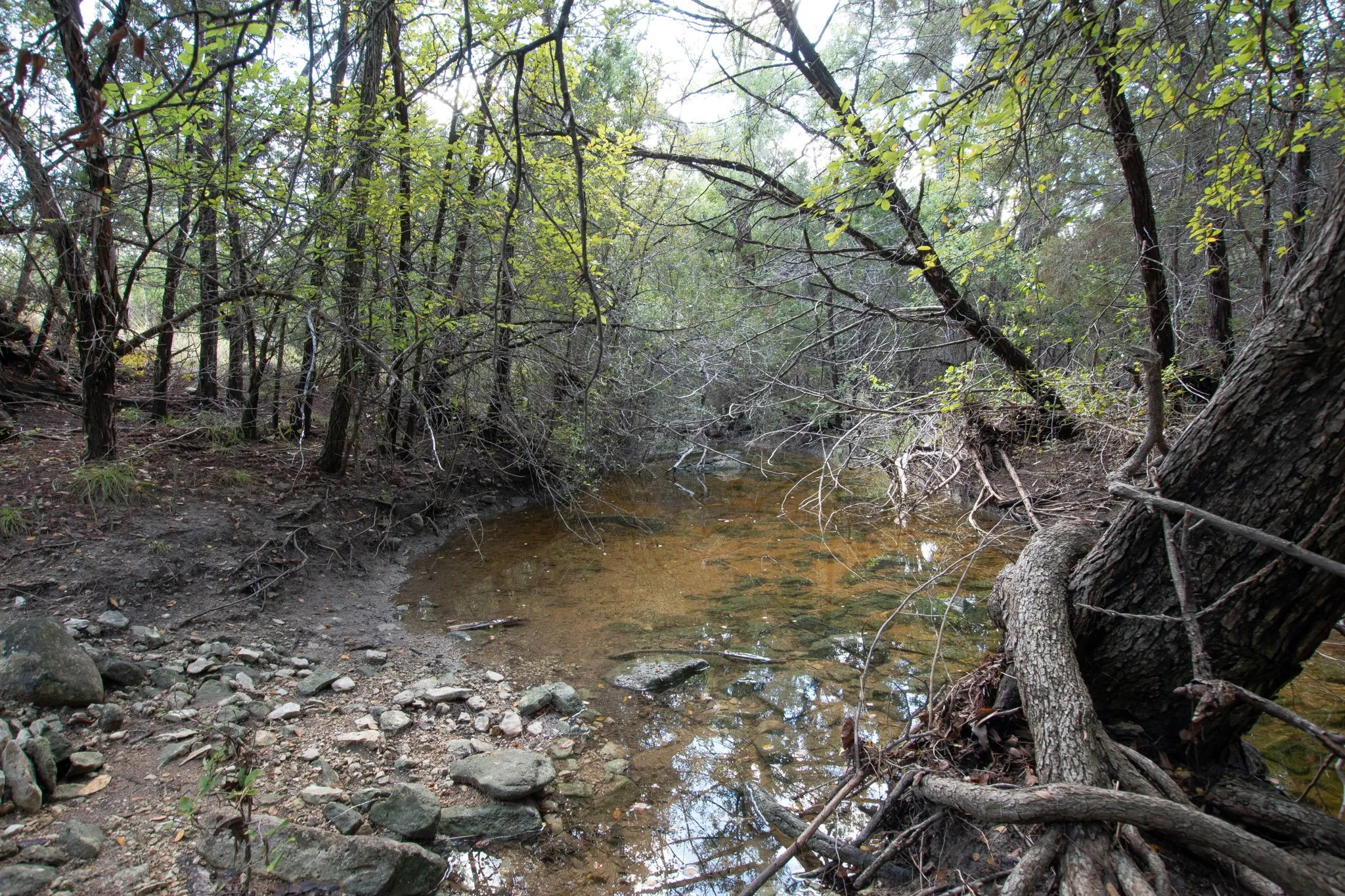 Ranch For Sale in Coryell County , TBD TBD-384 Acres, Gatesville, Texas 76528, 0, 0, Garage spaces, 0 Sqft, built in 0, mls#21411721, Real Estate Agent in Gatesville, Homes For Sale in Coryell county, Homes For Sale in Gatesville, Realtor in Gatesville Texas, Real Estate Brokerage Independent Realty Texas, Luminita Cordes Realtor