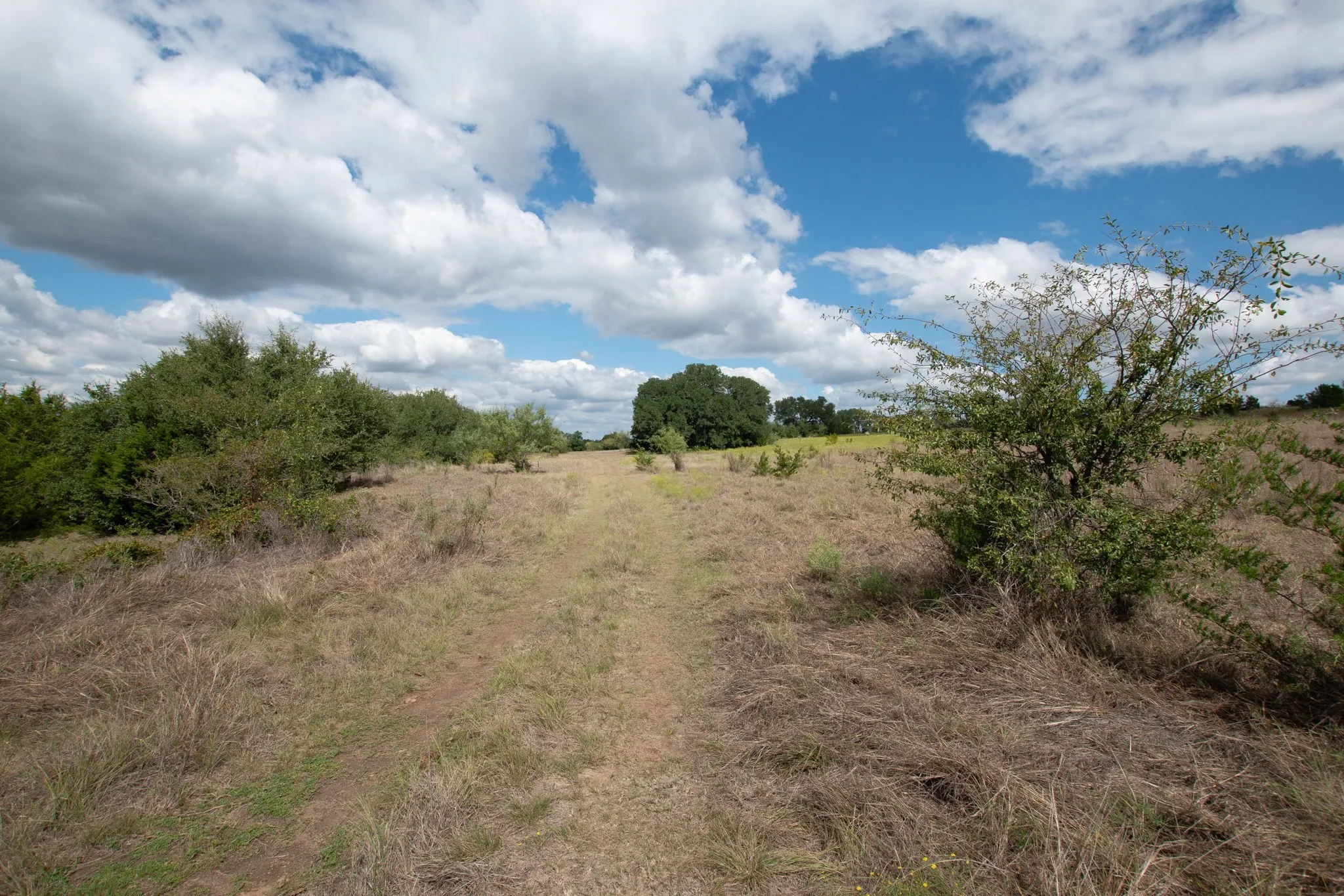 Ranch For Sale in Coryell County , TBD TBD-384 Acres, Gatesville, Texas 76528, 0, 0, Garage spaces, 0 Sqft, built in 0, mls#21411721, Real Estate Agent in Gatesville, Homes For Sale in Coryell county, Homes For Sale in Gatesville, Realtor in Gatesville Texas, Real Estate Brokerage Independent Realty Texas, Luminita Cordes Realtor