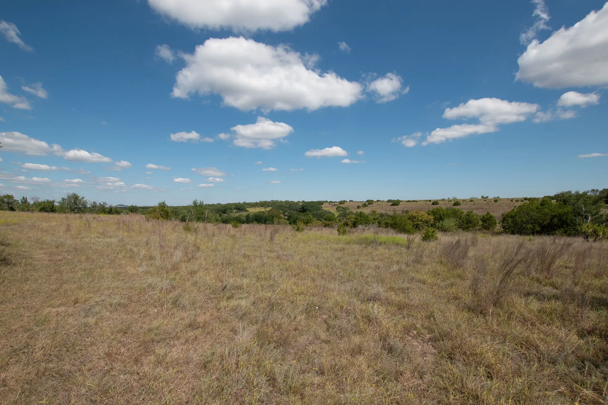Ranch For Sale in Coryell County , TBD TBD-384 Acres, Gatesville, Texas 76528, 0, 0, Garage spaces, 0 Sqft, built in 0, mls#21411721, Real Estate Agent in Gatesville, Homes For Sale in Coryell county, Homes For Sale in Gatesville, Realtor in Gatesville Texas, Real Estate Brokerage Independent Realty Texas, Luminita Cordes Realtor