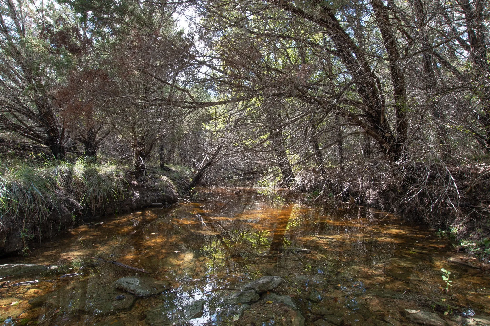 Ranch For Sale in Coryell County , TBD TBD-384 Acres, Gatesville, Texas 76528, 0, 0, Garage spaces, 0 Sqft, built in 0, mls#21411721, Real Estate Agent in Gatesville, Homes For Sale in Coryell county, Homes For Sale in Gatesville, Realtor in Gatesville Texas, Real Estate Brokerage Independent Realty Texas, Luminita Cordes Realtor