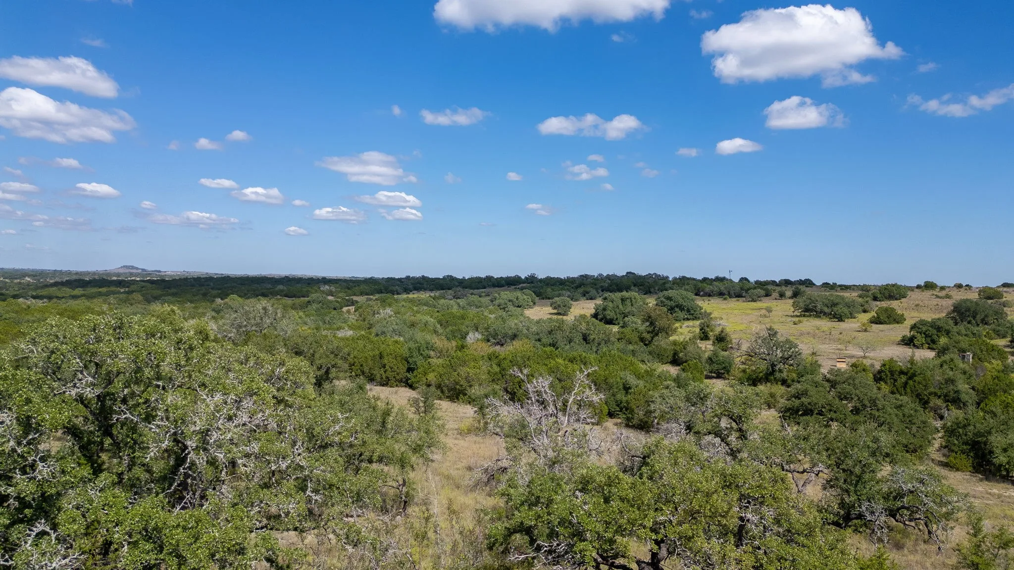 Ranch For Sale in Coryell County , TBD TBD-384 Acres, Gatesville, Texas 76528, 0, 0, Garage spaces, 0 Sqft, built in 0, mls#21411721, Real Estate Agent in Gatesville, Homes For Sale in Coryell county, Homes For Sale in Gatesville, Realtor in Gatesville Texas, Real Estate Brokerage Independent Realty Texas, Luminita Cordes Realtor