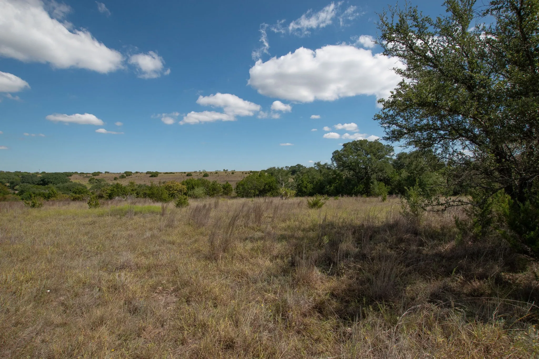 Ranch For Sale in Coryell County , TBD TBD-384 Acres, Gatesville, Texas 76528, 0, 0, Garage spaces, 0 Sqft, built in 0, mls#21411721, Real Estate Agent in Gatesville, Homes For Sale in Coryell county, Homes For Sale in Gatesville, Realtor in Gatesville Texas, Real Estate Brokerage Independent Realty Texas, Luminita Cordes Realtor